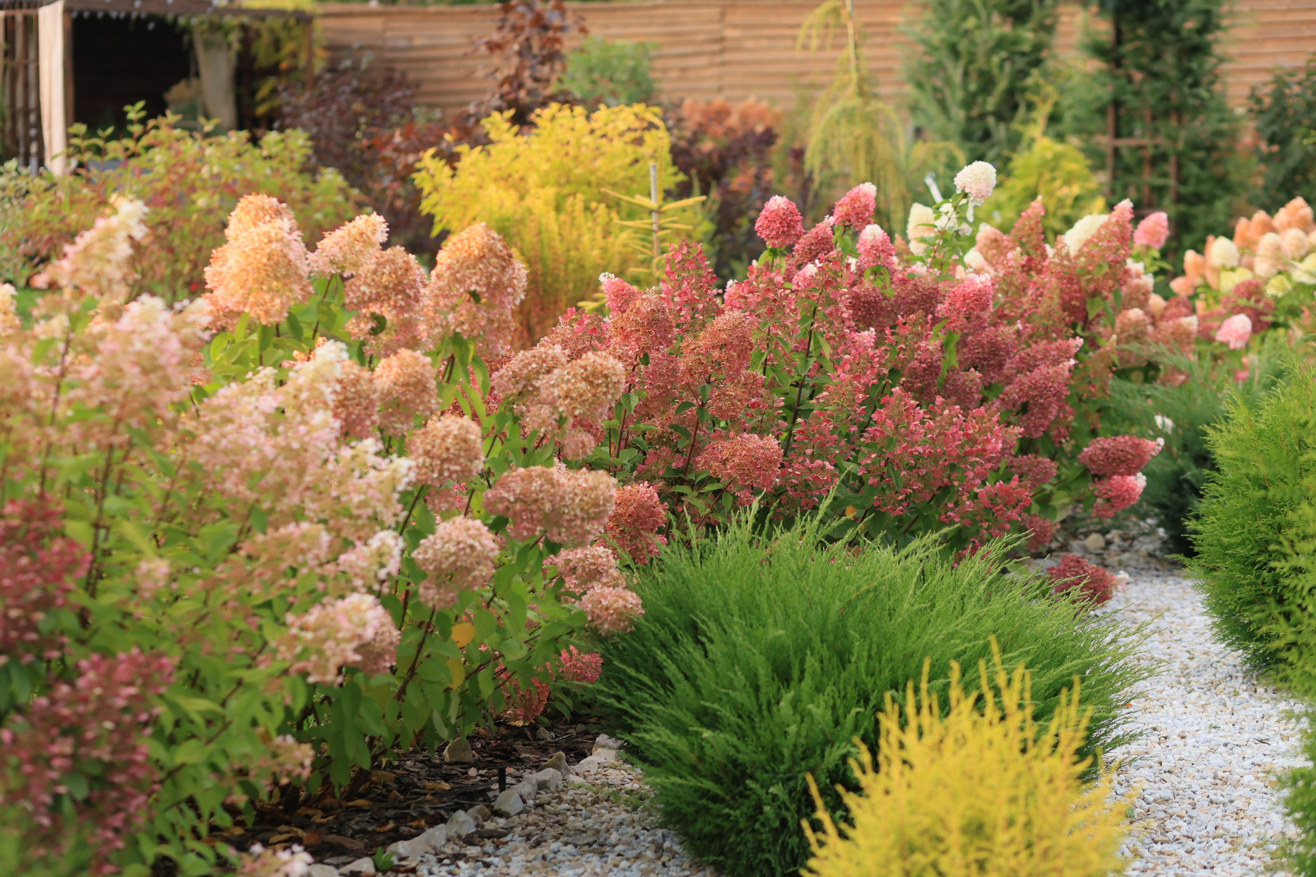 Парк-заповедник Купидон. Семейный фотограф в Димитровграде Елена Патрушева