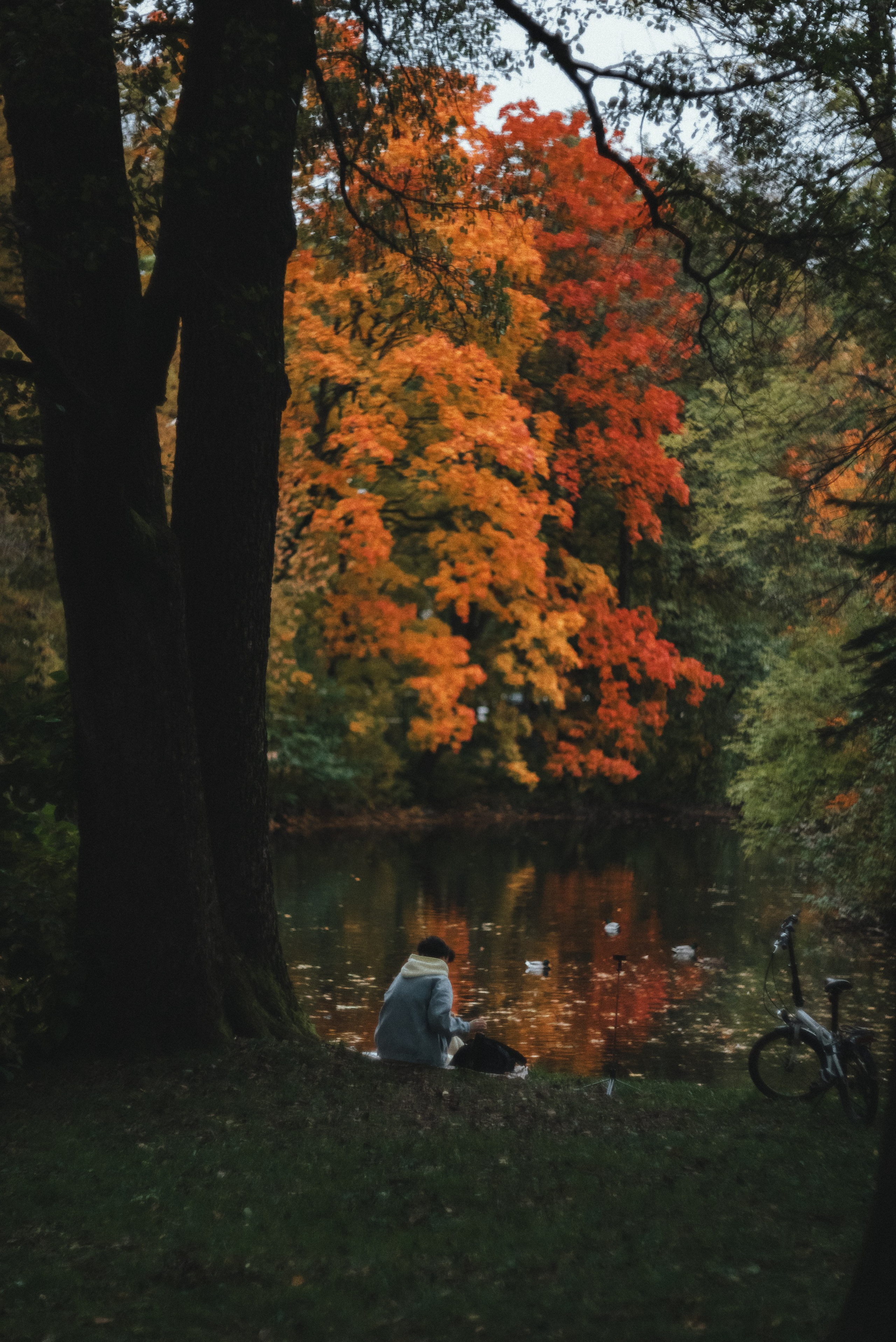 Autumn. Свадебный фотограф Санкт-Петербург DanyaPhotoart