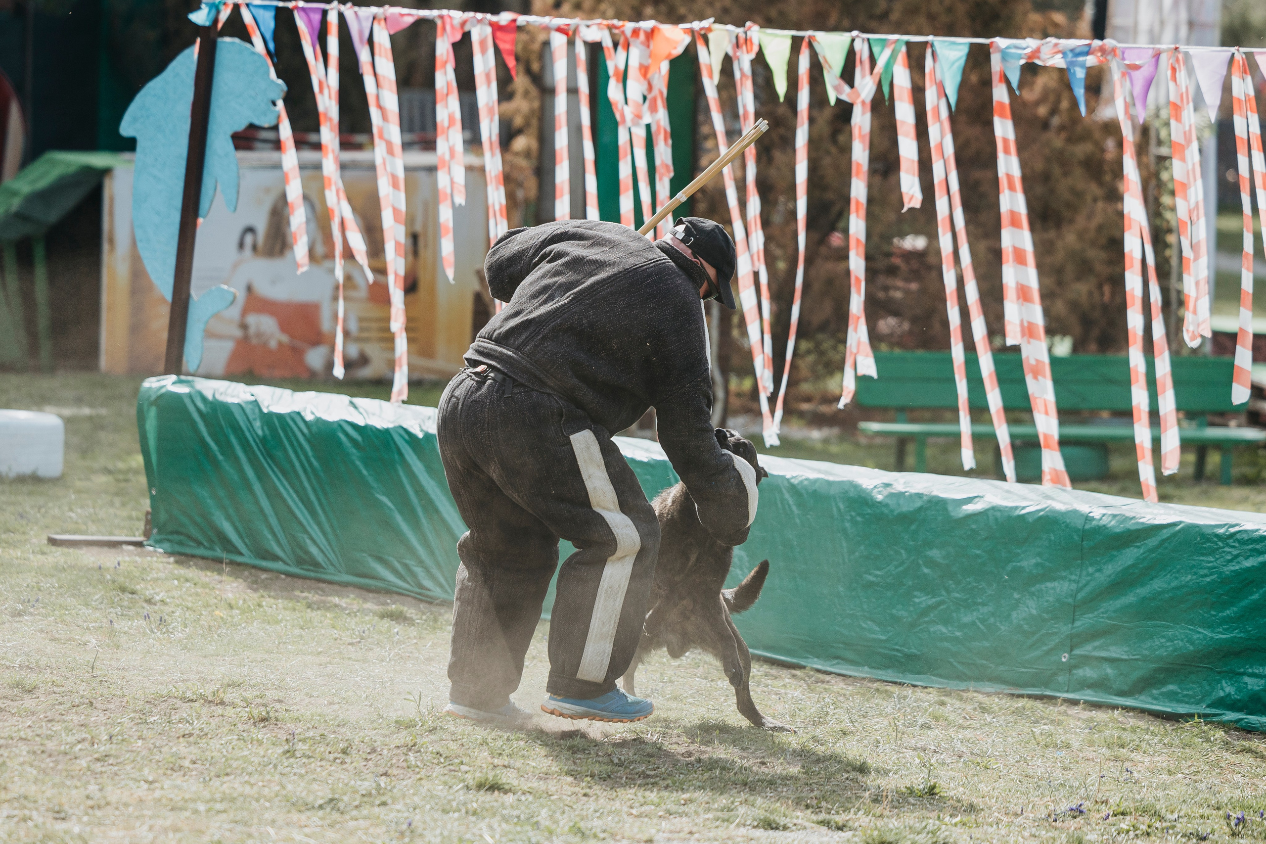 Геленджик Мондьоринг. Фотограф-анималист Анна Маринич