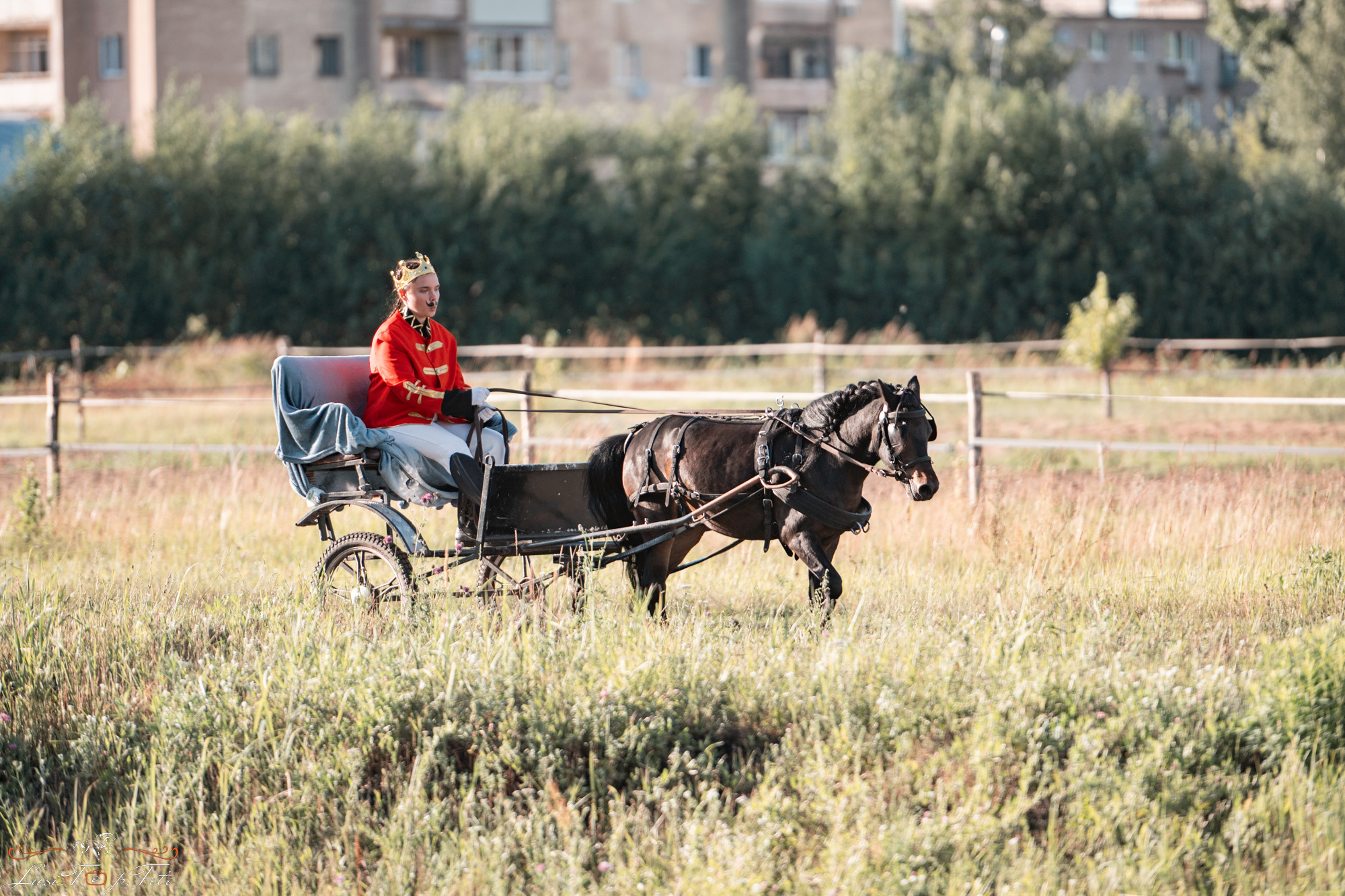100 лет Тверскому ипподрому!. Конный и фотограф с животными в Твери Топталова Люся