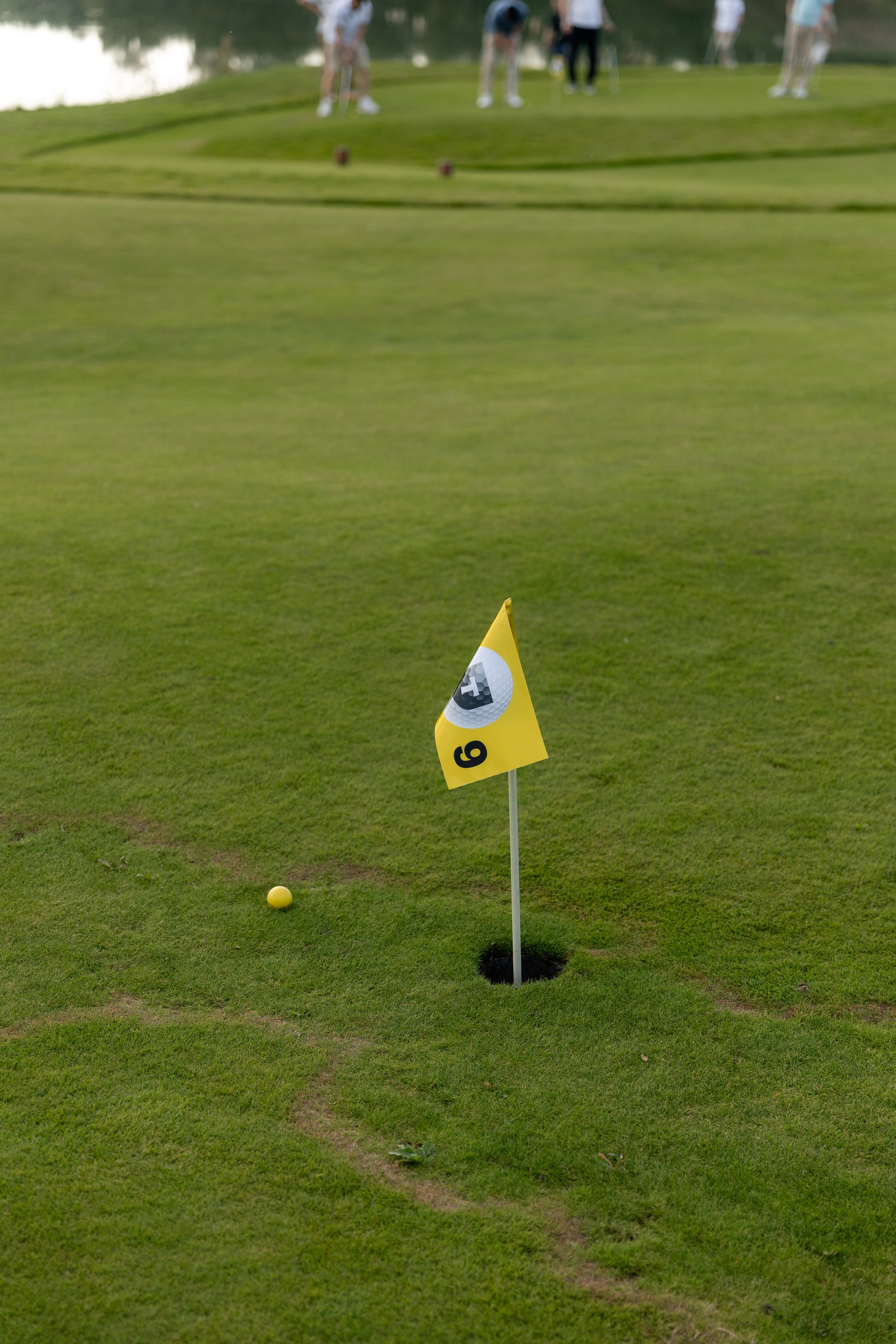 Гольф-Клуб Завидово для Т-Банк. Фотограф в Москве Вероника Иньякова