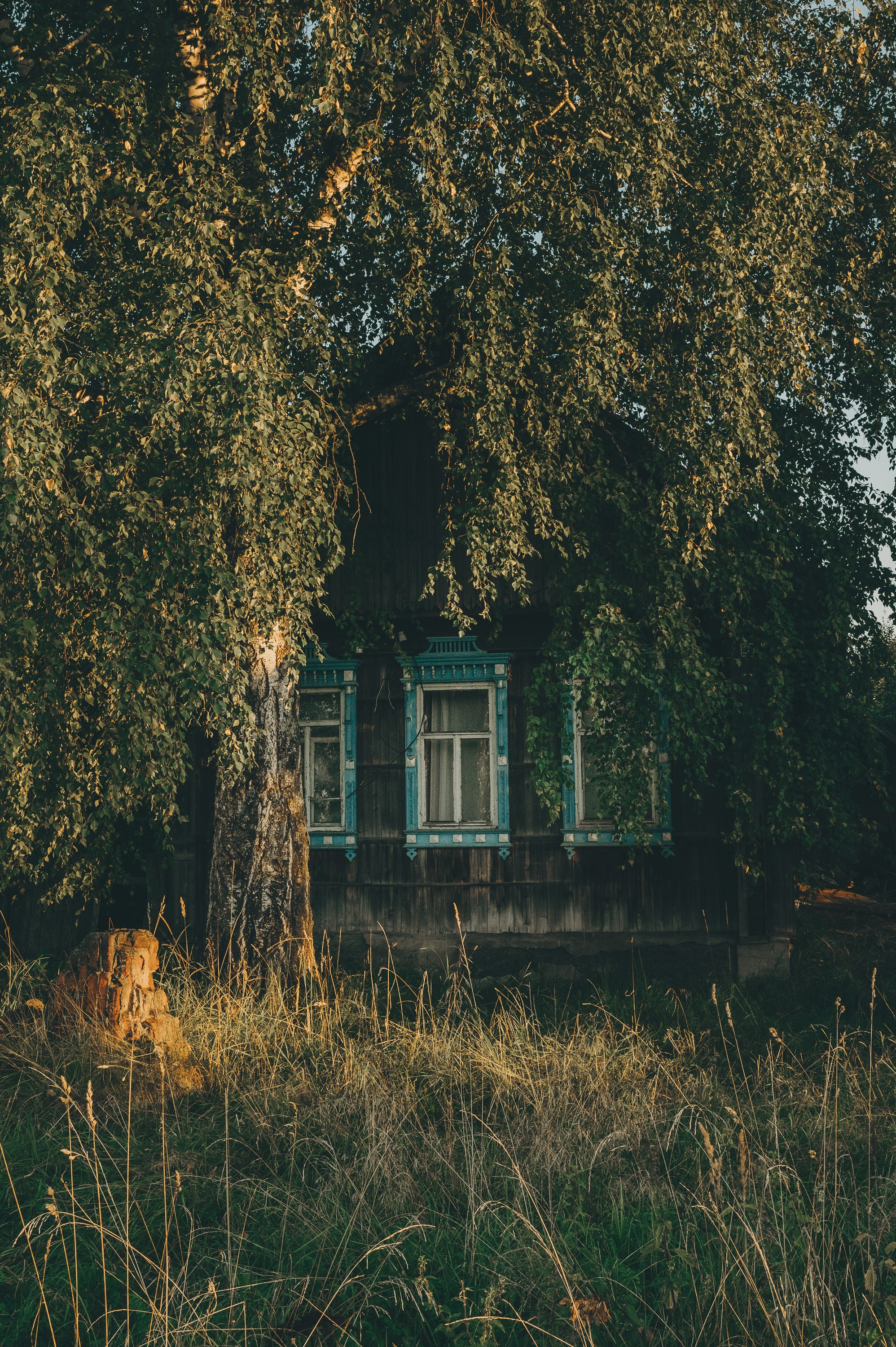 Фотозарисовки из Чебоксар 2026