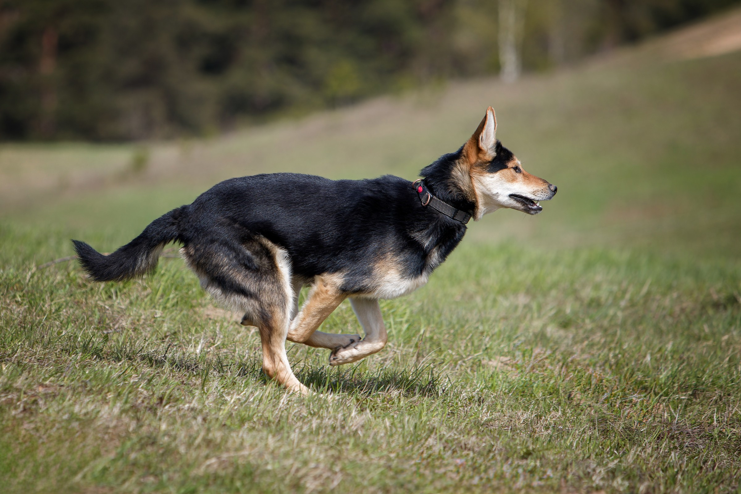 Lure Club 2025. Irenephoto.ru