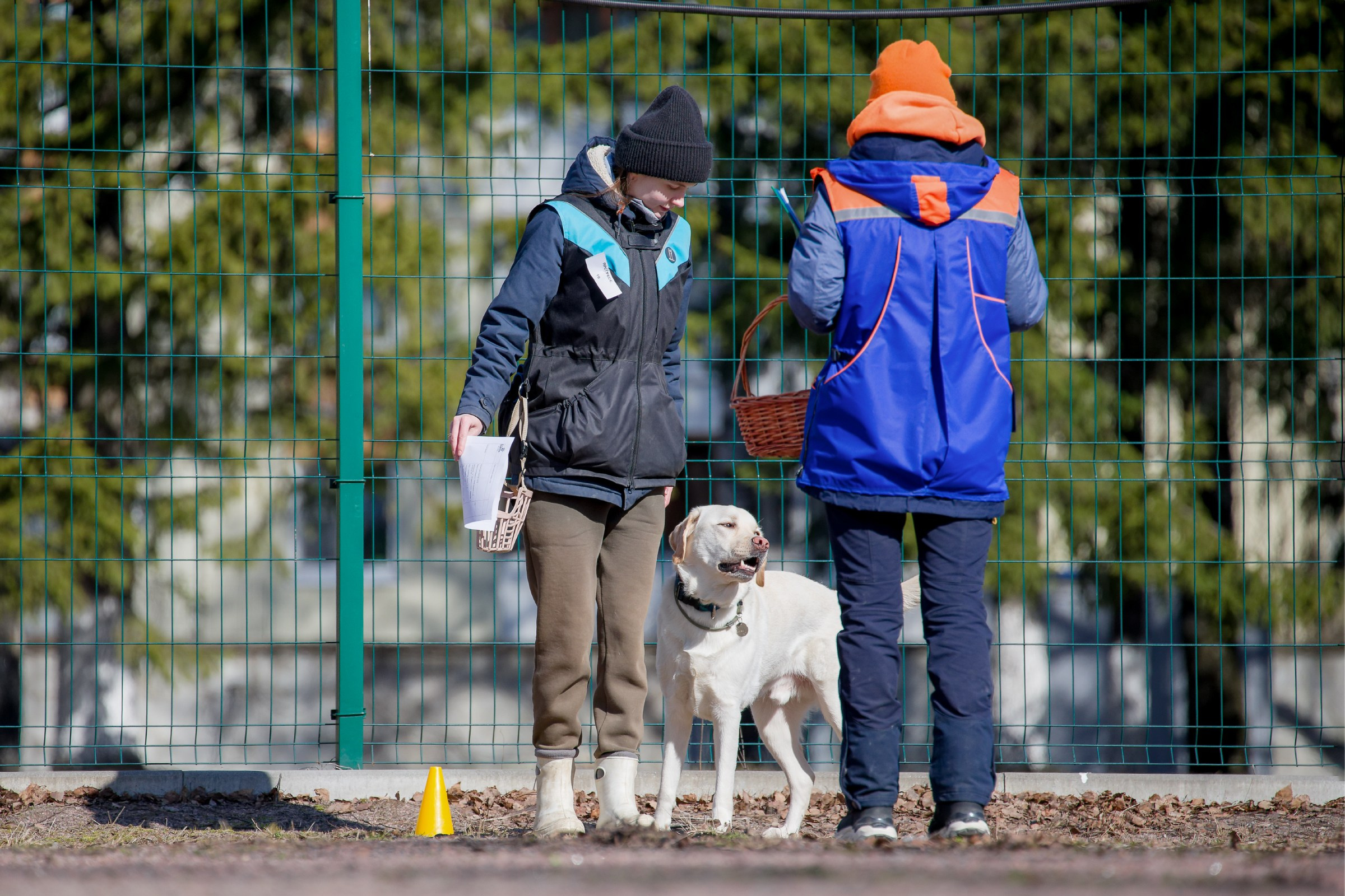 Соревнования «Пошагаем?» от школы дрессировки «Шаги». Irenephoto.ru