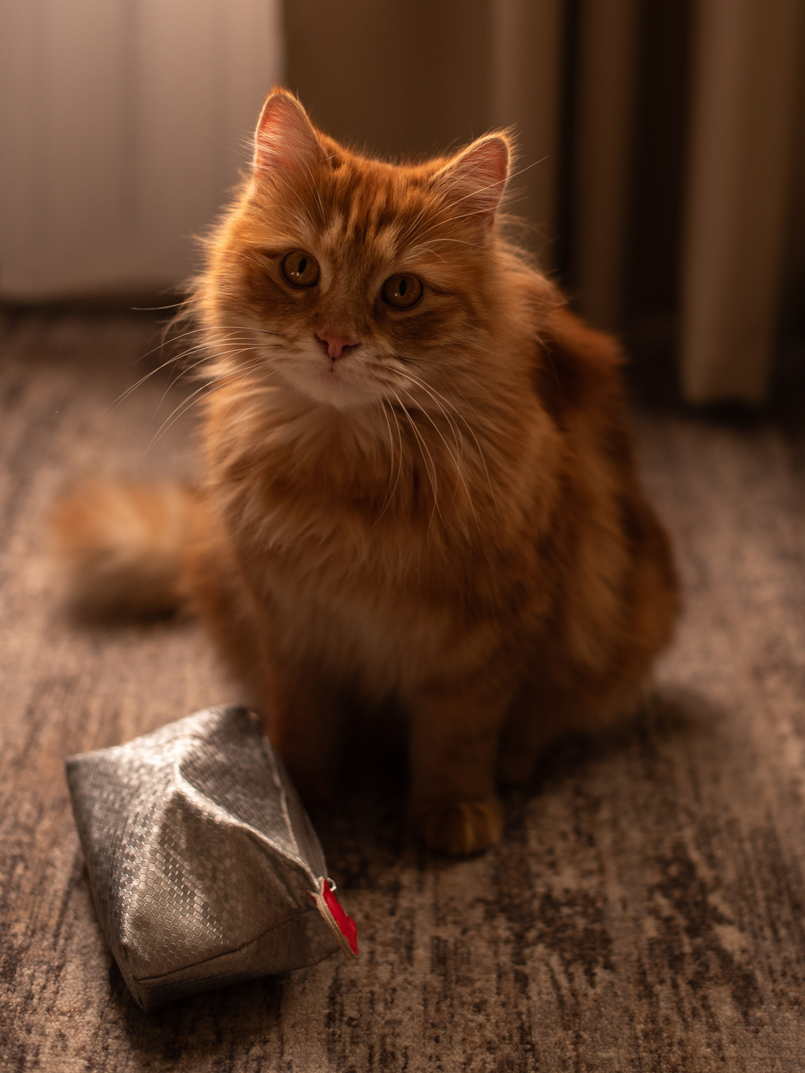 Анатолий и Анастасия!. Свадебный, семейный, контент и портрет фотограф в Ростове-на-Дону Наталь