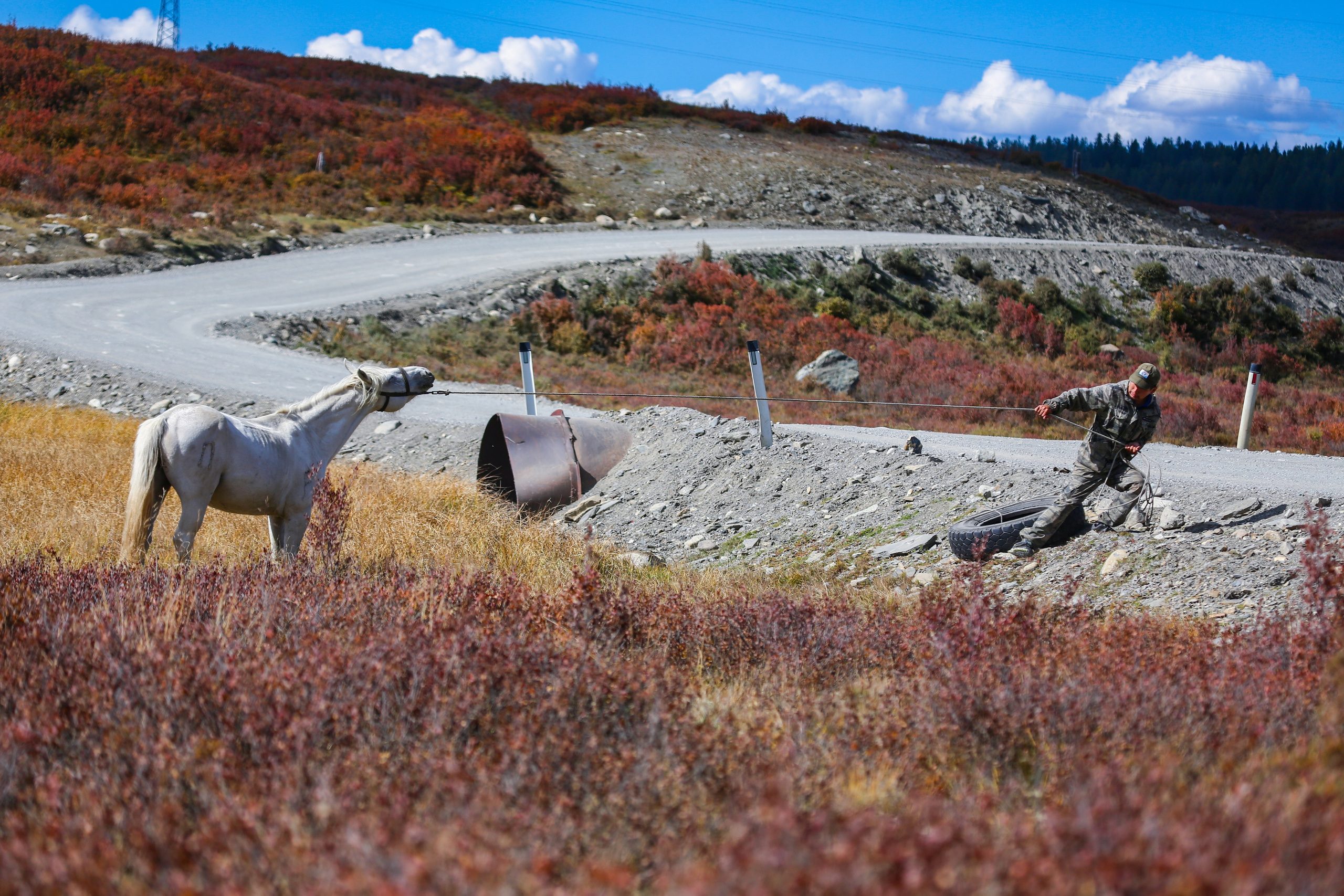 Алтай. Репортажный фотограф в Москве Зуйко Оксана