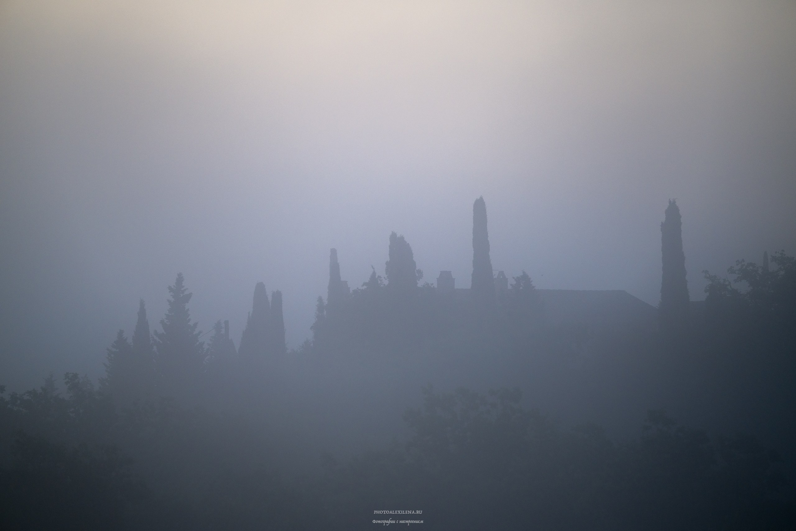 Волшебное утро в Тоскане. Авторские стильные фотокартины
