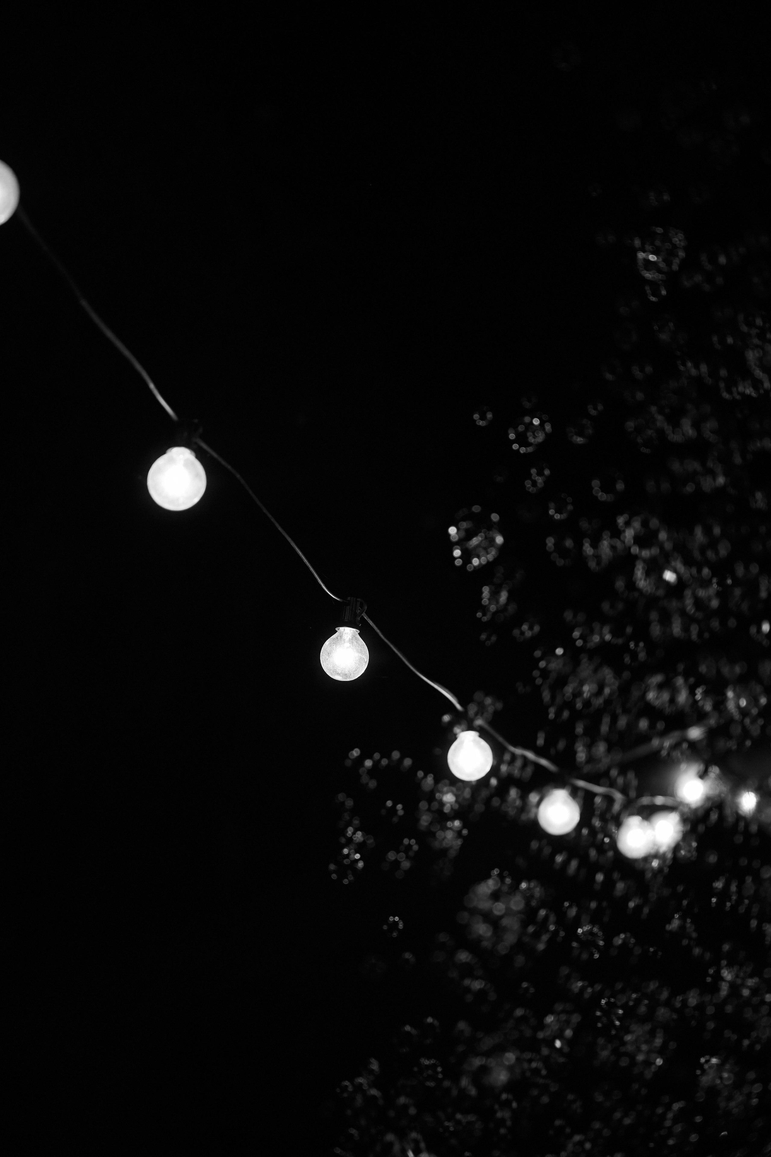 Портфолио. Свадебный фотограф Соколов Валерий