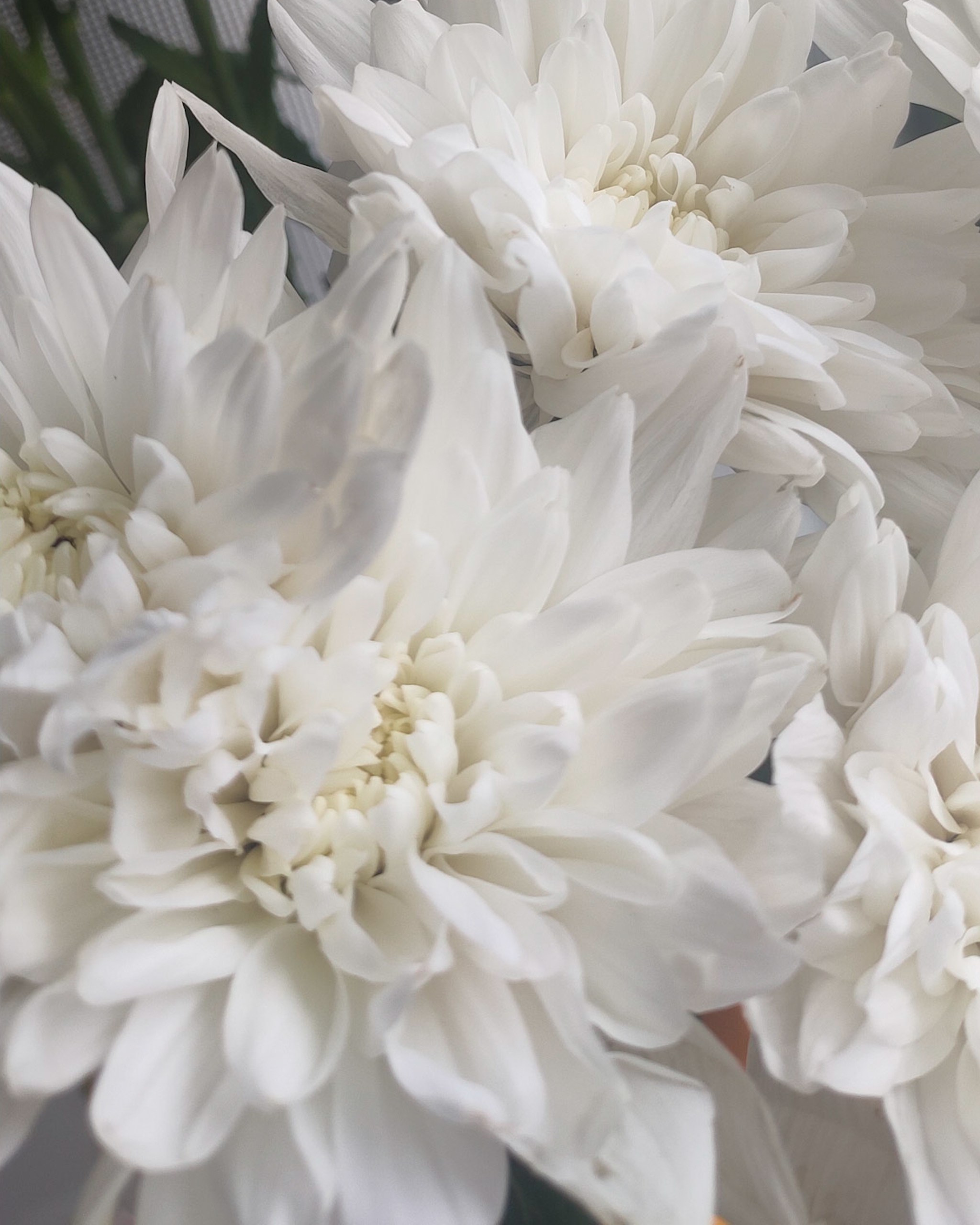 Мир повседневных Вещей. Репортажный и портретный фотограф, Влад Хафизов, Москва