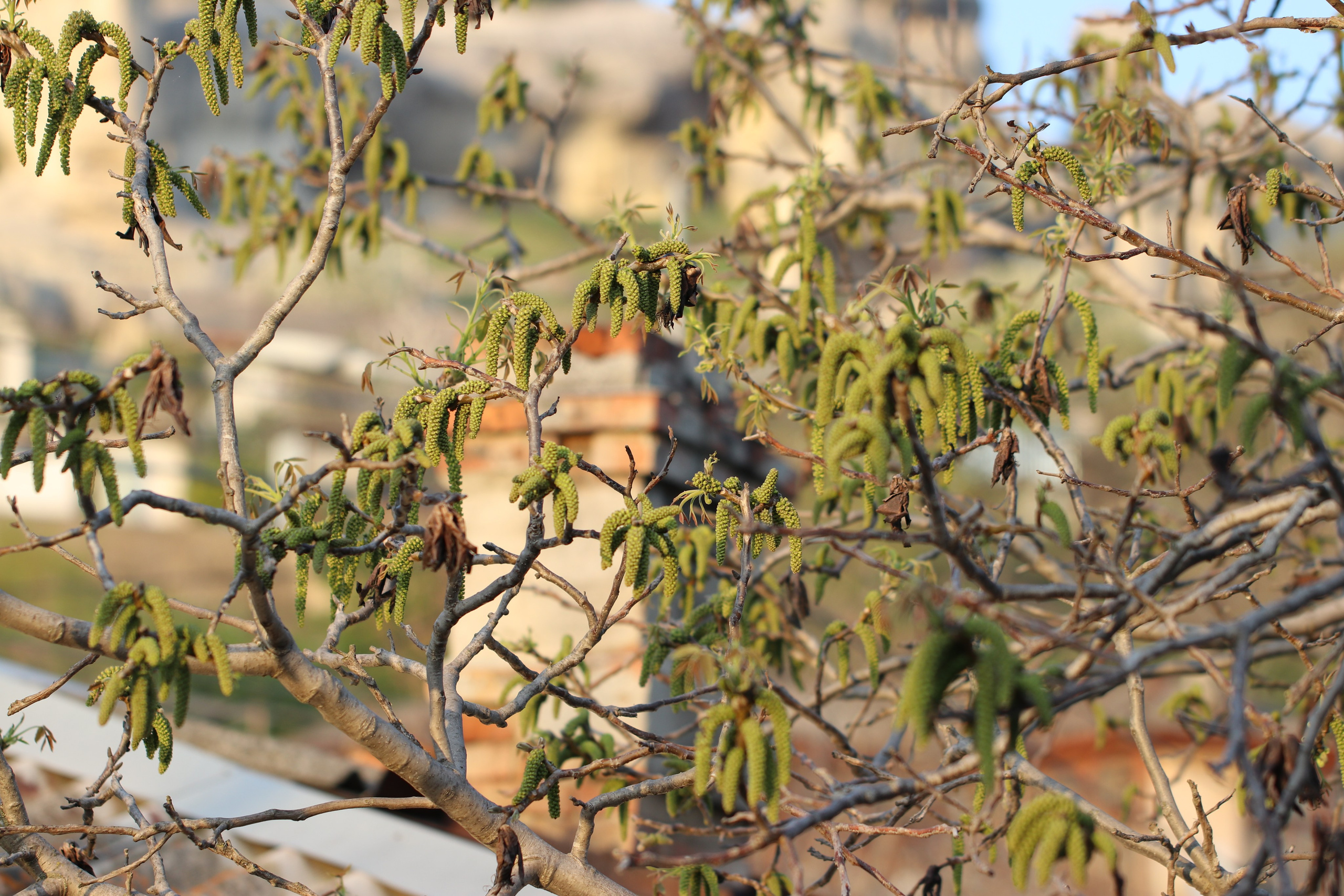 Крым. ЮБК (Бахчисарай, Кастрополь, Таракташская тропа). Май 2021. Путешественник-фотограф из Санкт-Петербурга Татьяна Свистулина