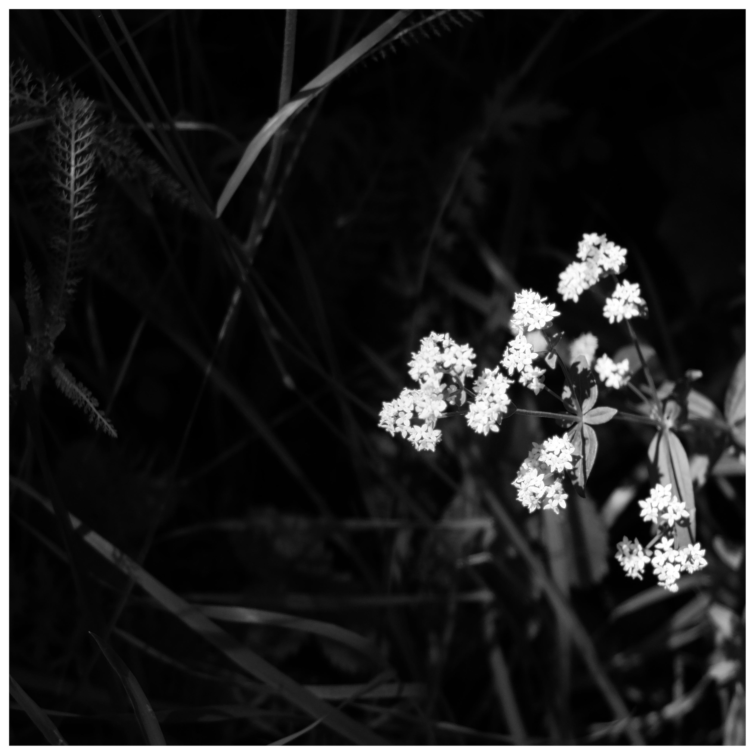 Внутривенные сны (2018-2023)