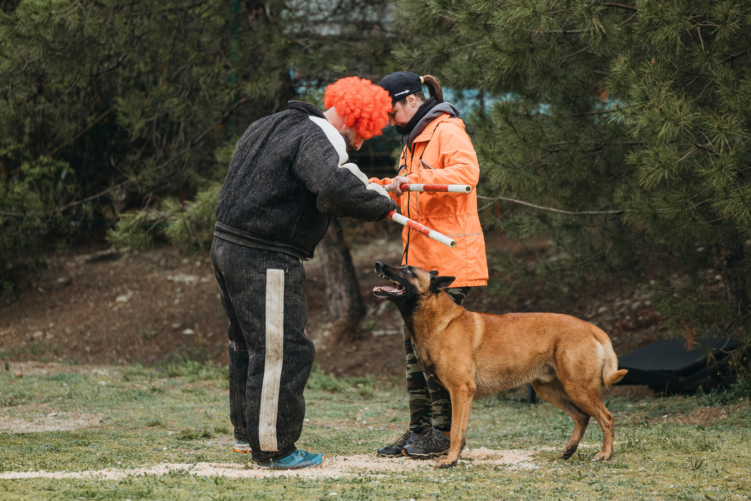 Геленджик Мондьоринг. Фотограф-анималист Анна Маринич