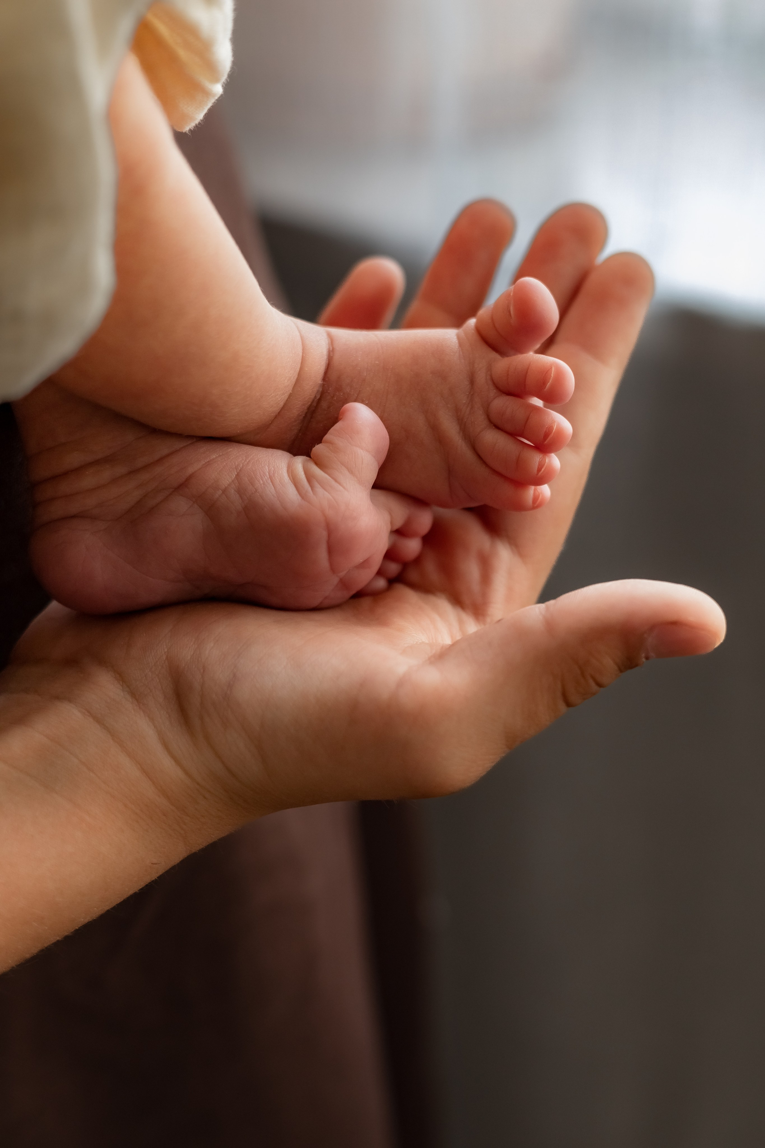 Новорожденные и малыши до года. Семейный и детский фотограф в Москве Анна Чертополох