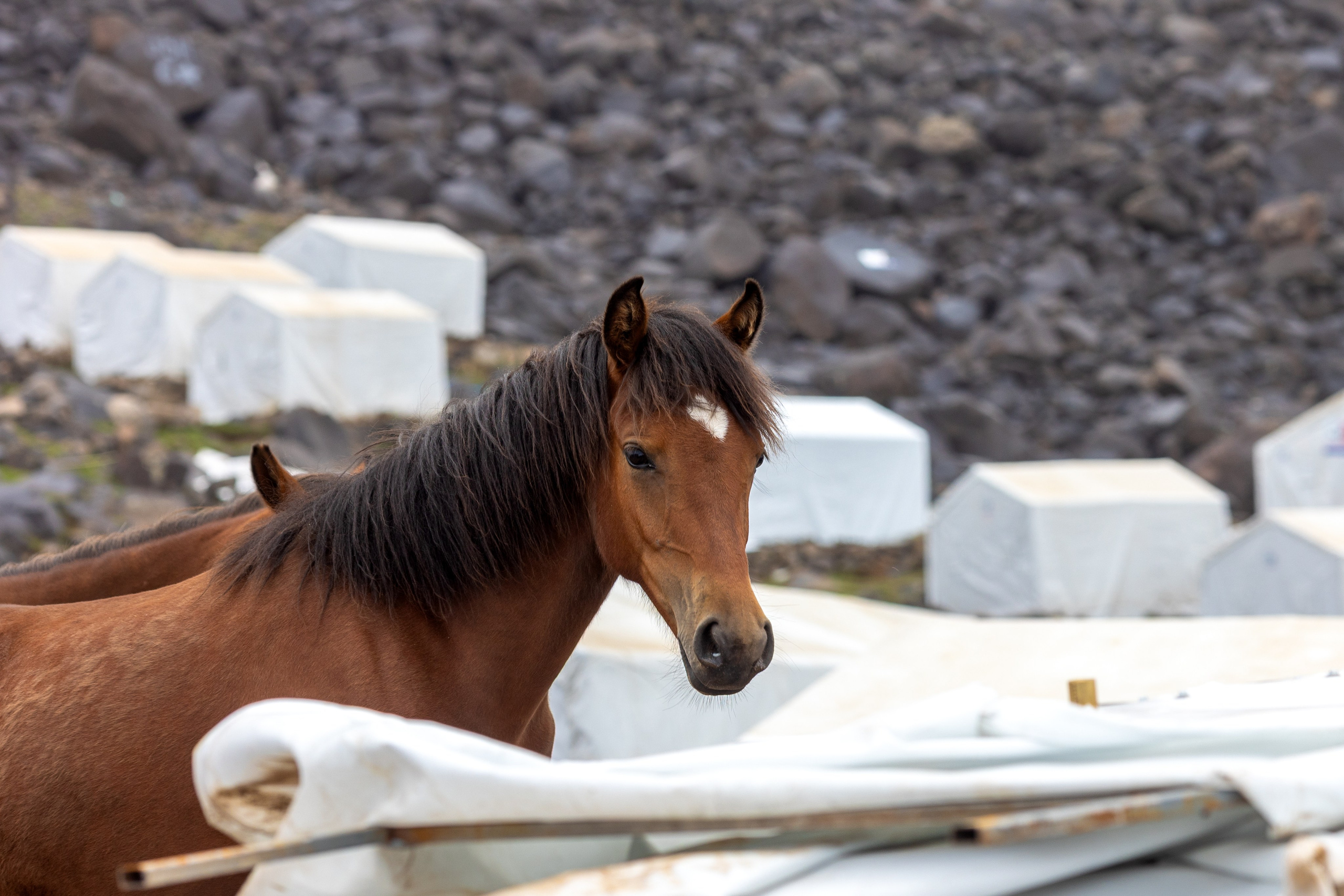 Арарат. Тревел-фотограф Олег Гуров