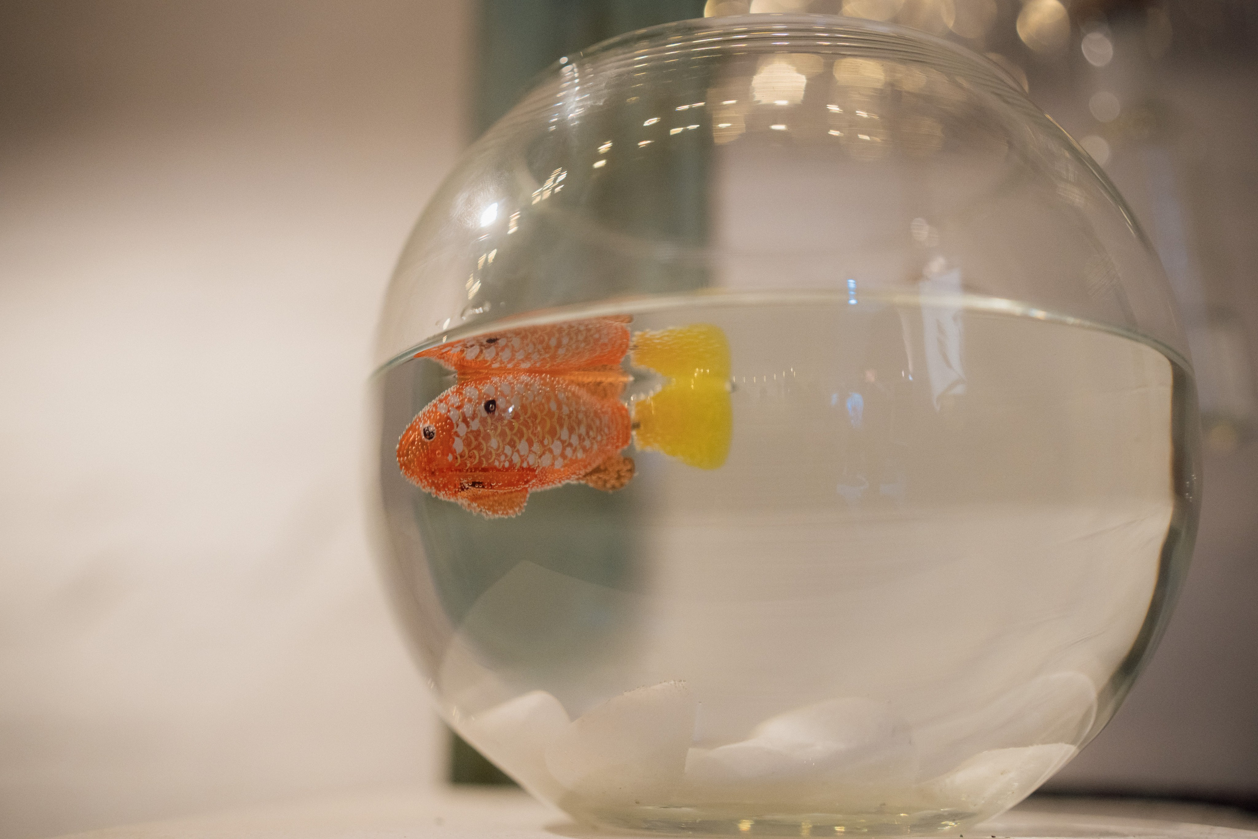 Спектакль «Простодурсен. Волшебные сказки Приречной страны». Фотограф Vika Rin