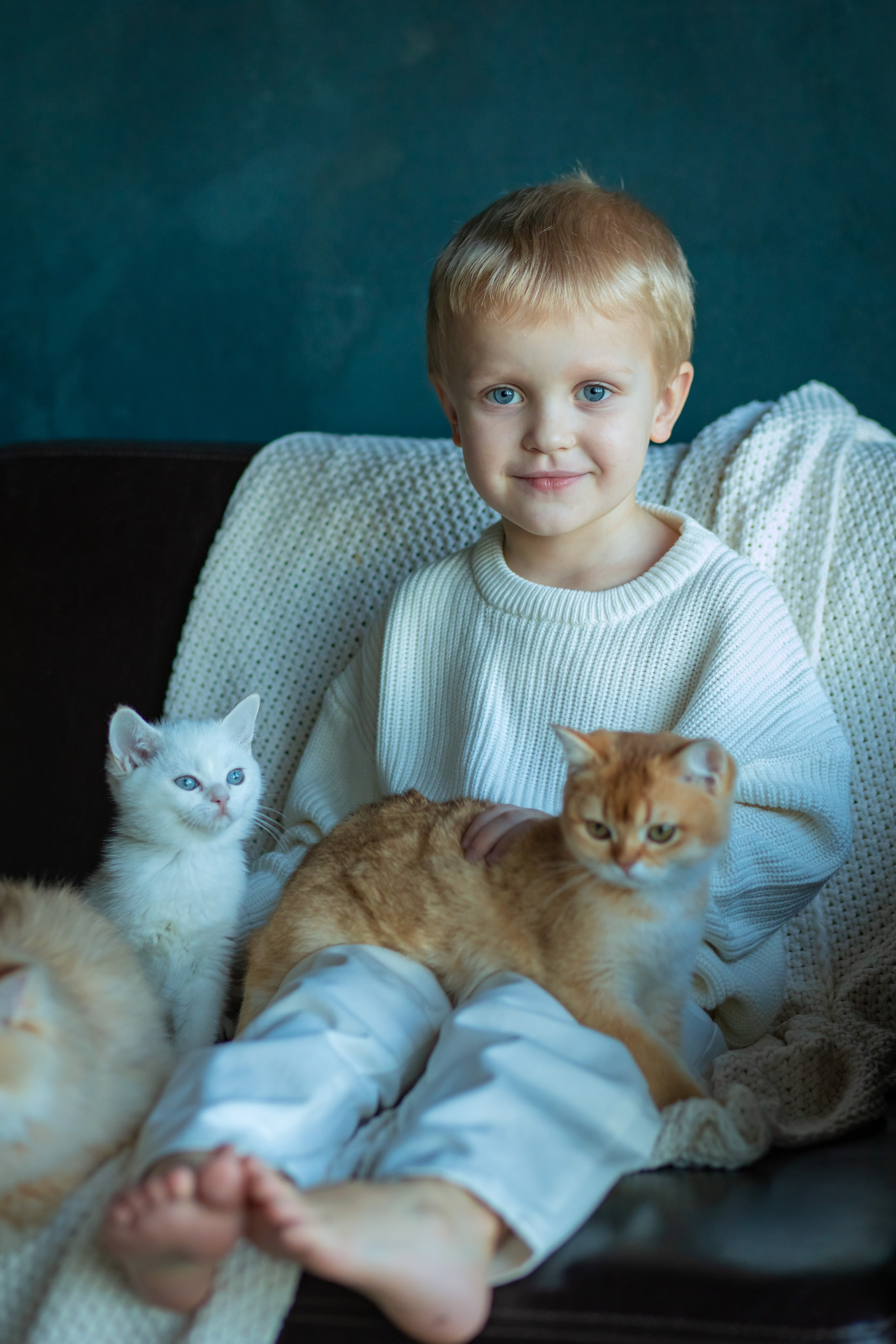 Детская фотосессия с котятками в студии в СПБ