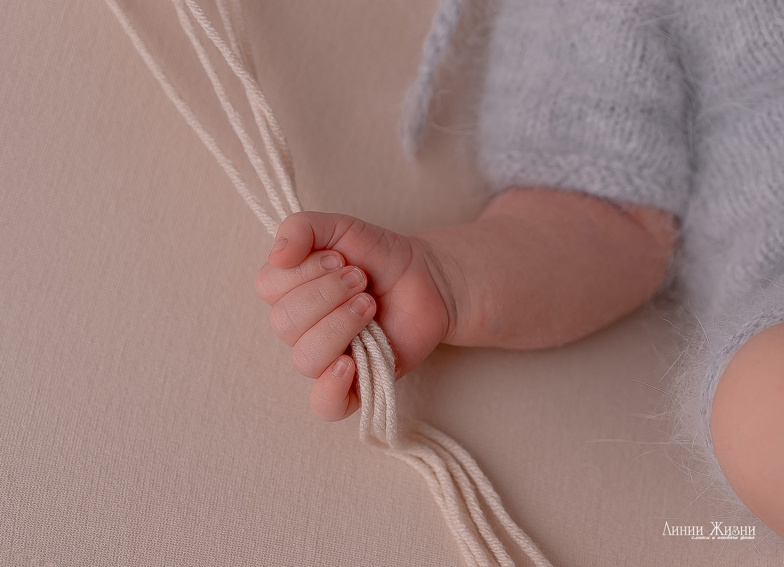 Серафима 19 дней. Фотограф новорожденных в Нижнем Новгороде Сергеева Оксана