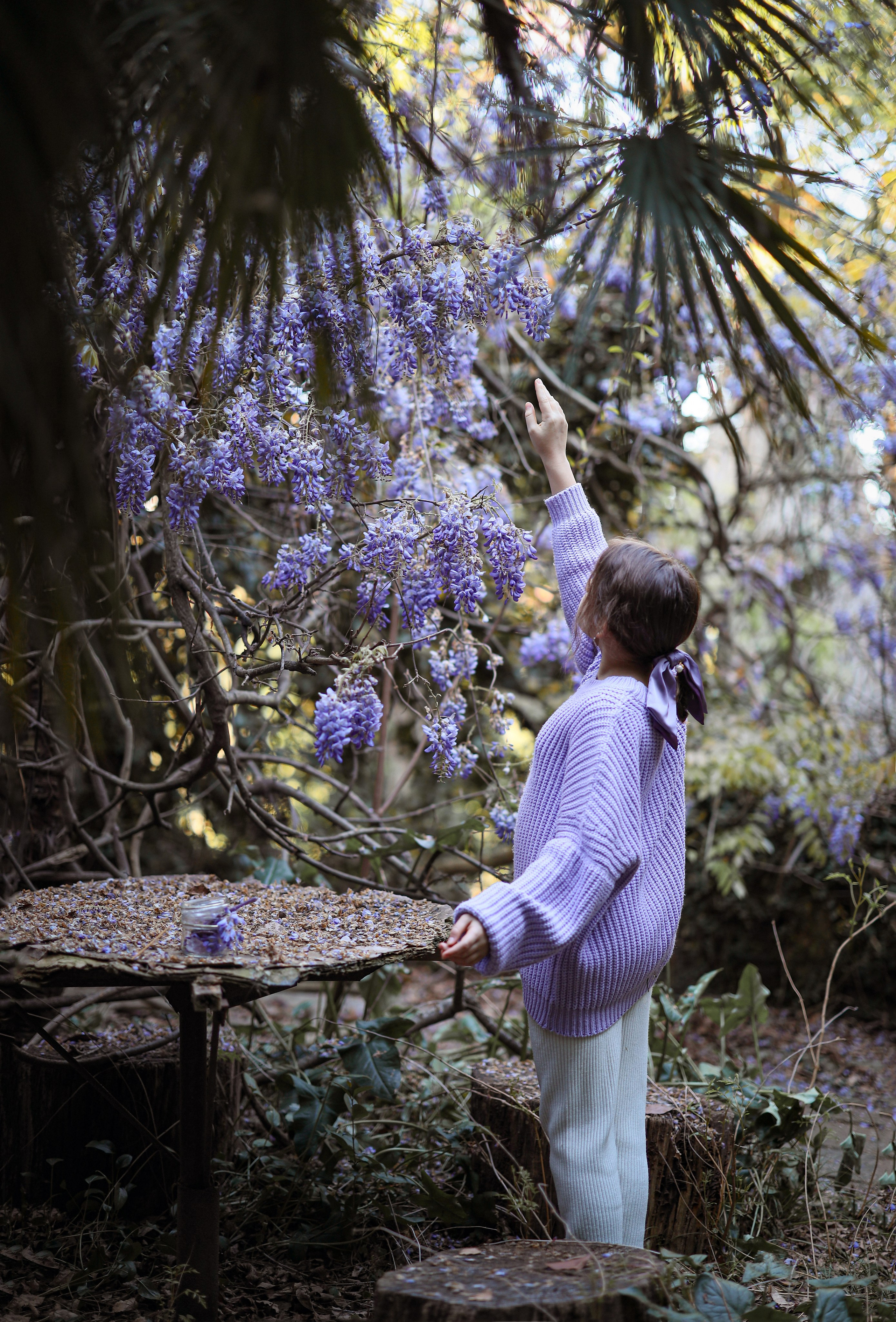 Фотосессия в Абхазии, Глициния отзывы фотографов