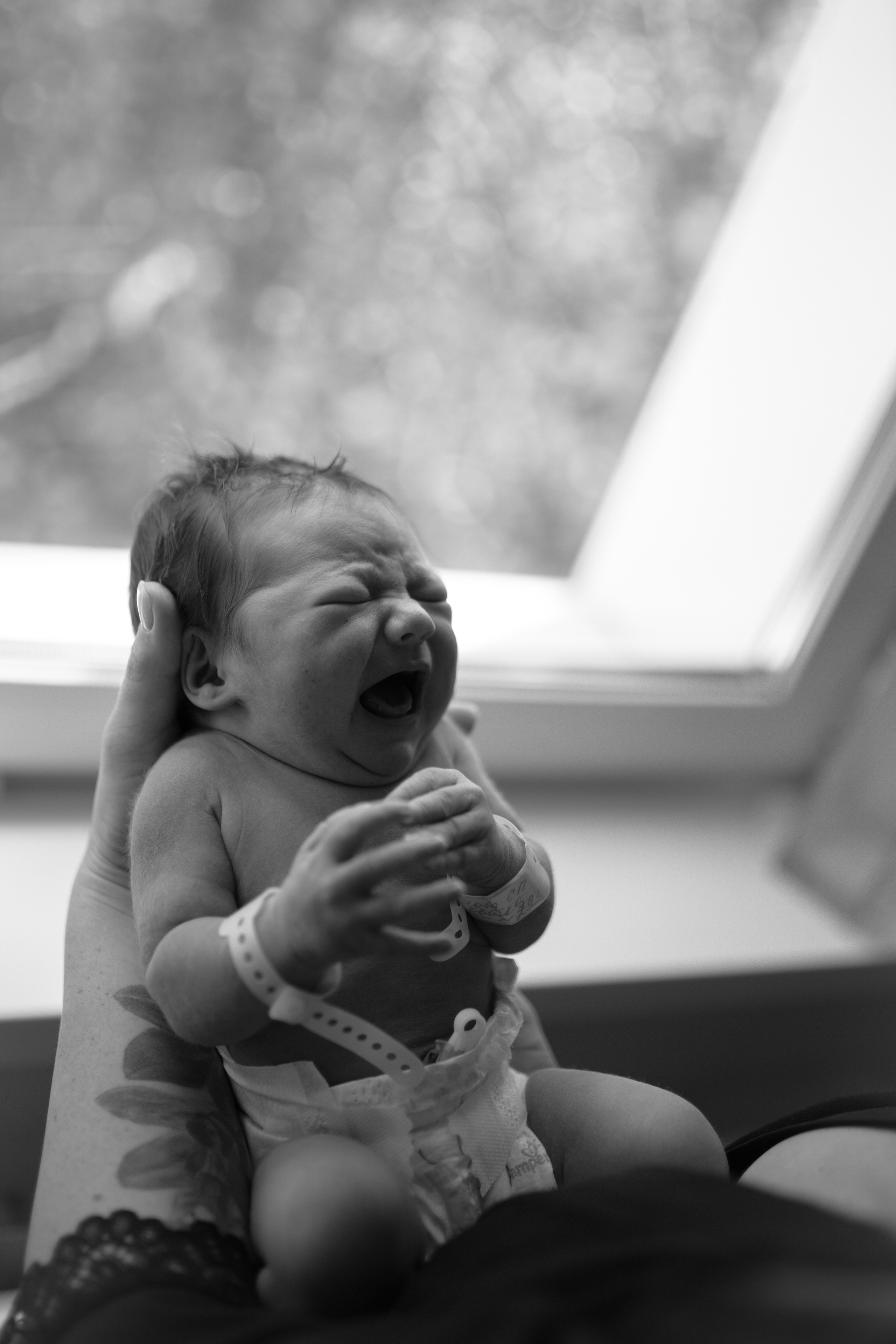 Светлана, роддом. Свадебный фотограф | Москва