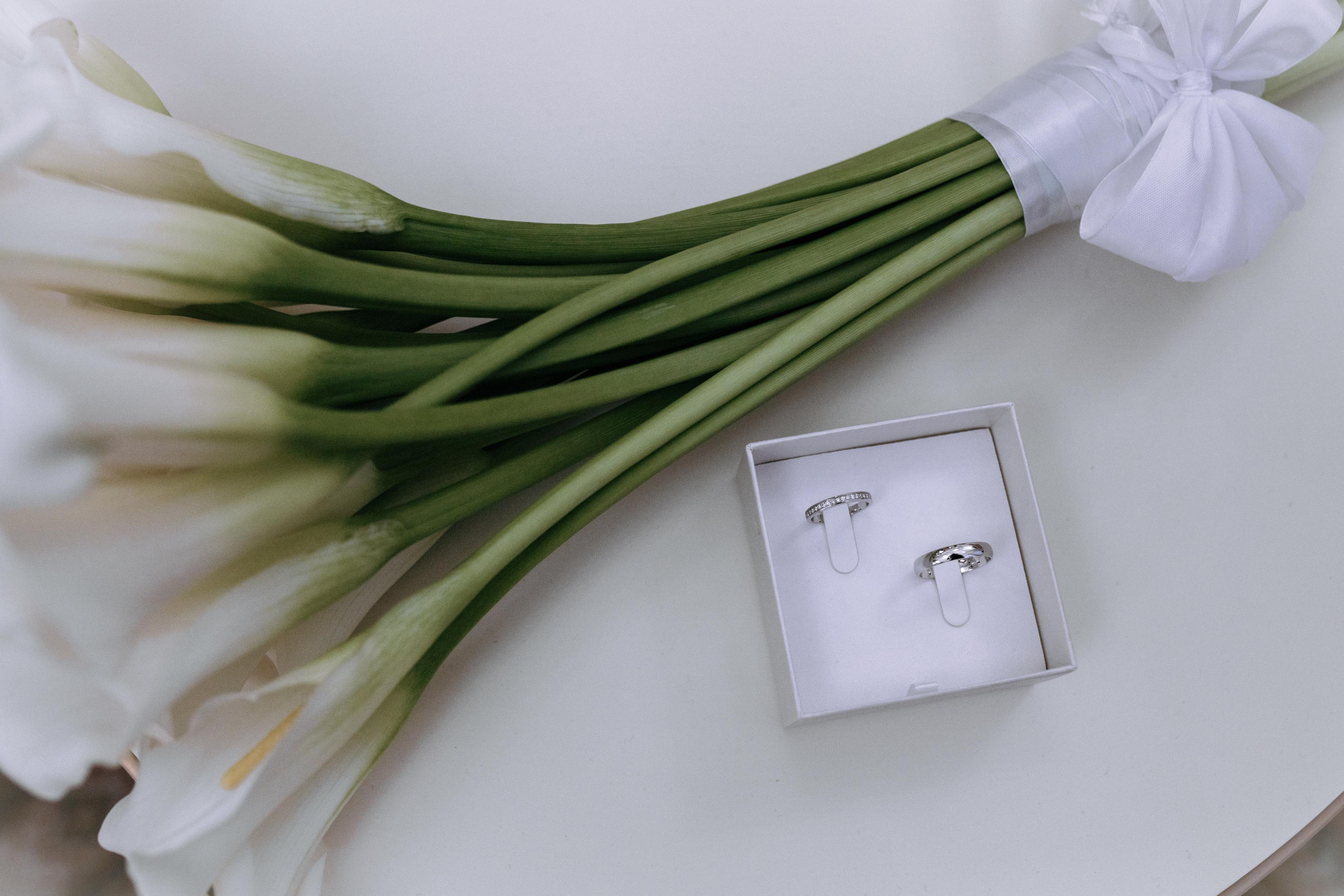 Лина и Элем, Грибоедовский Загс. Свадебный фотограф | Москва