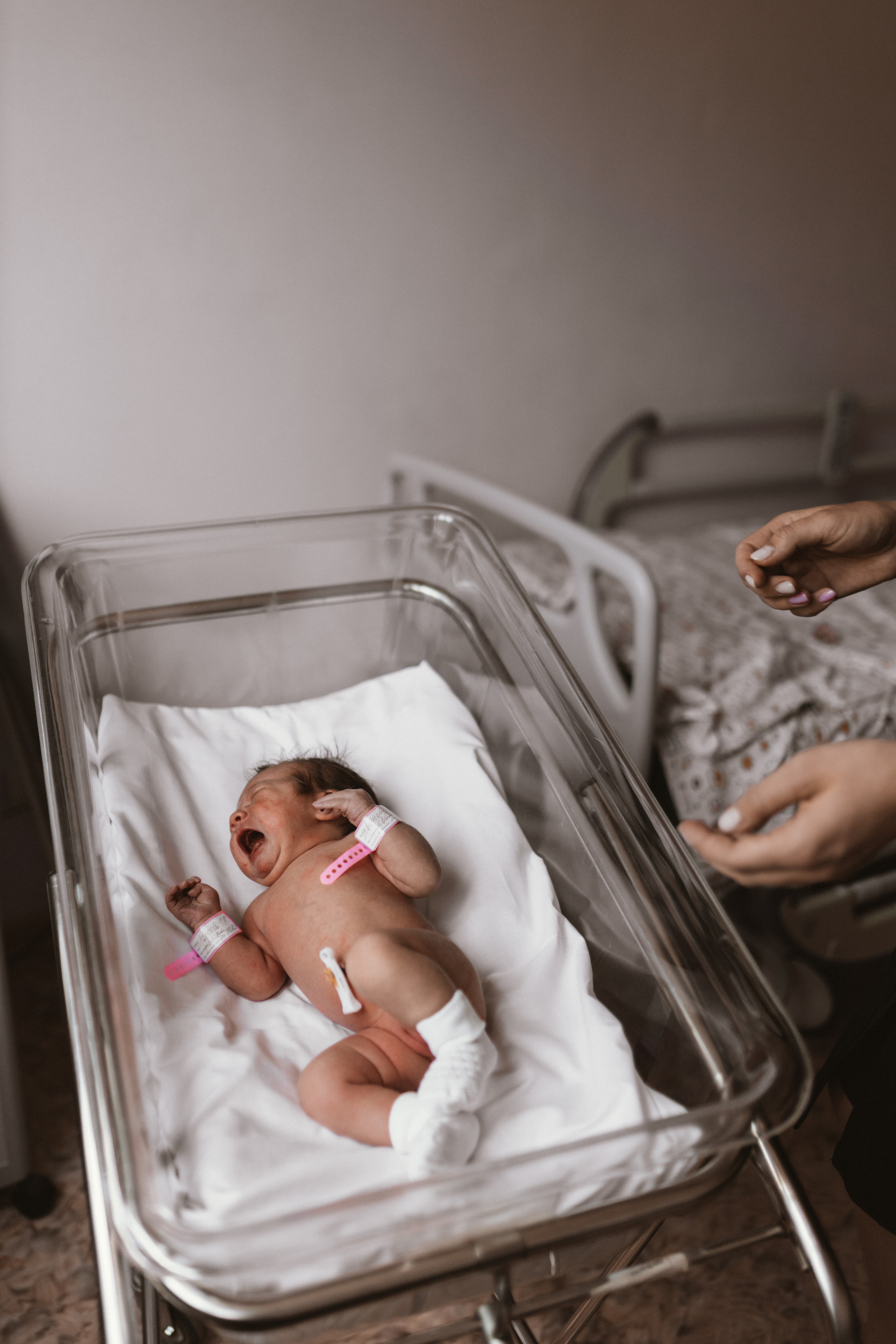 Светлана, роддом. Свадебный фотограф | Москва