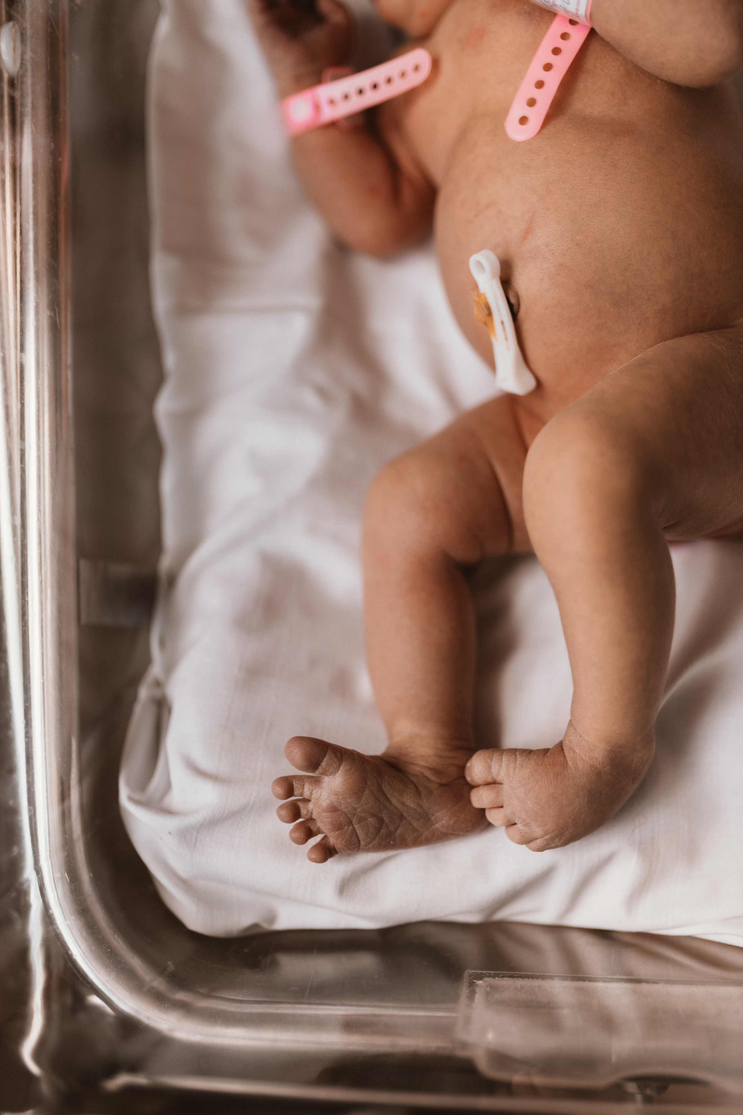 Светлана, роддом. Свадебный фотограф | Москва