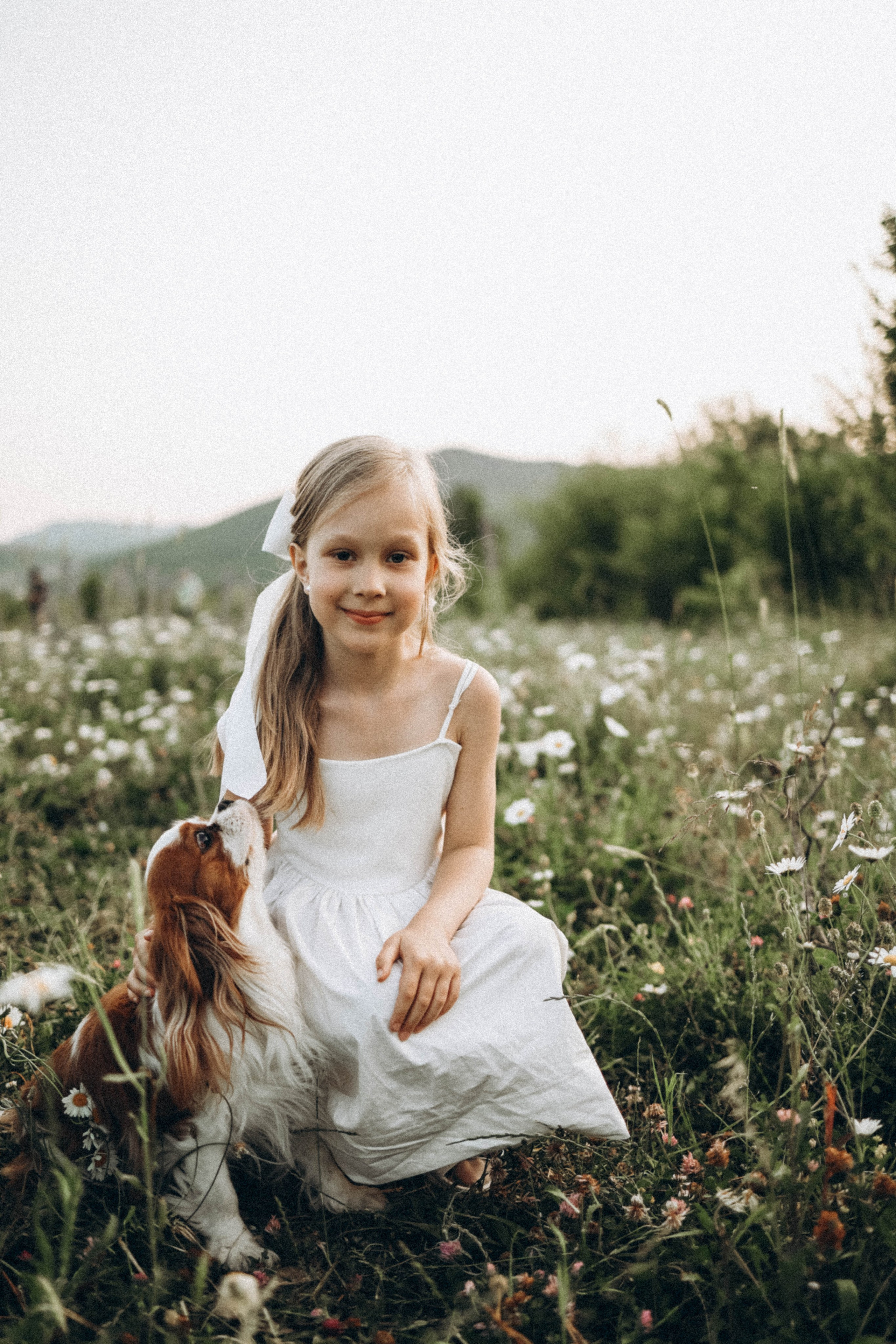 Ромашки. Фотограф Немазенко Ольга