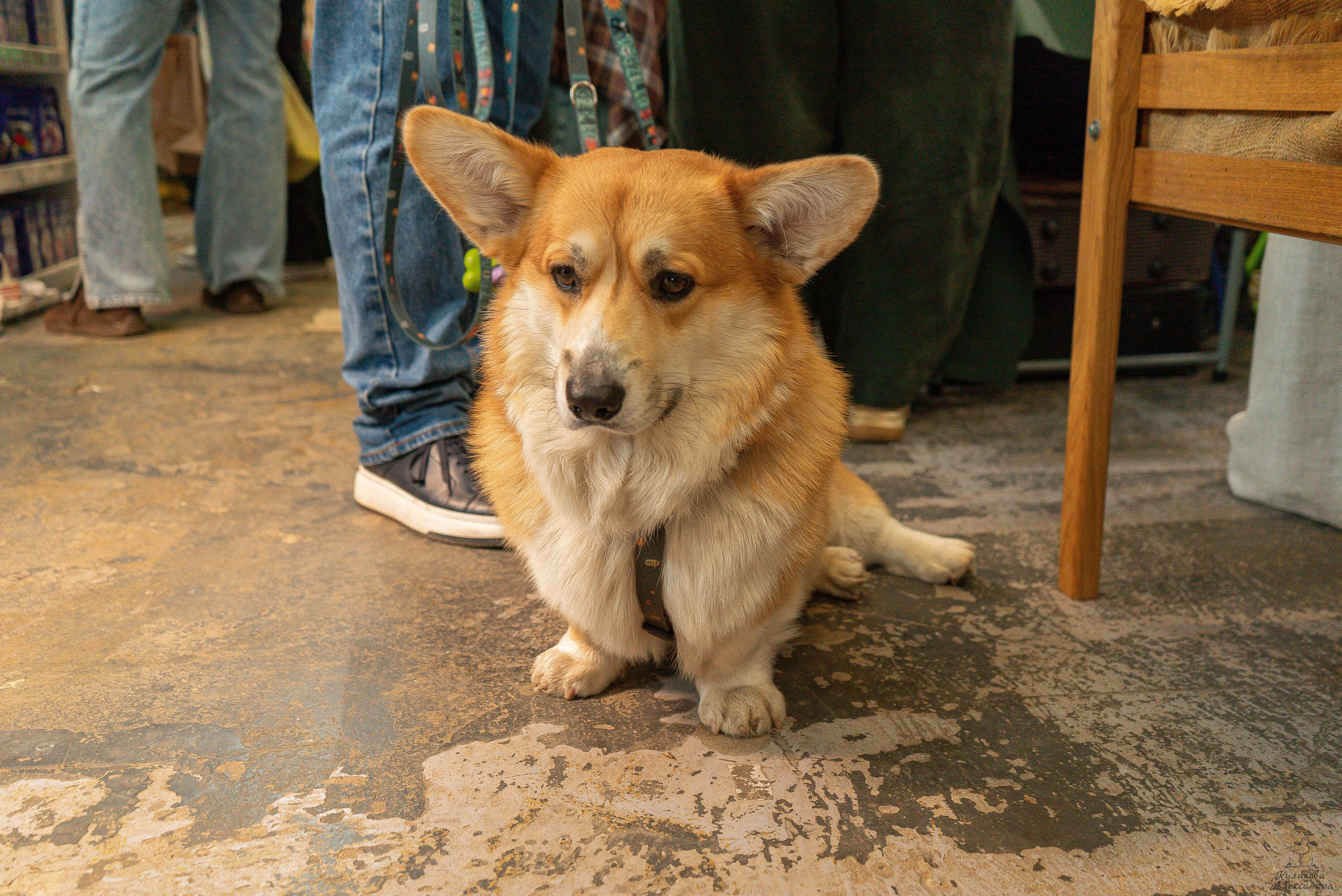 Гроубокс Артплей апрель. Александра Куликова фотограф, Москва