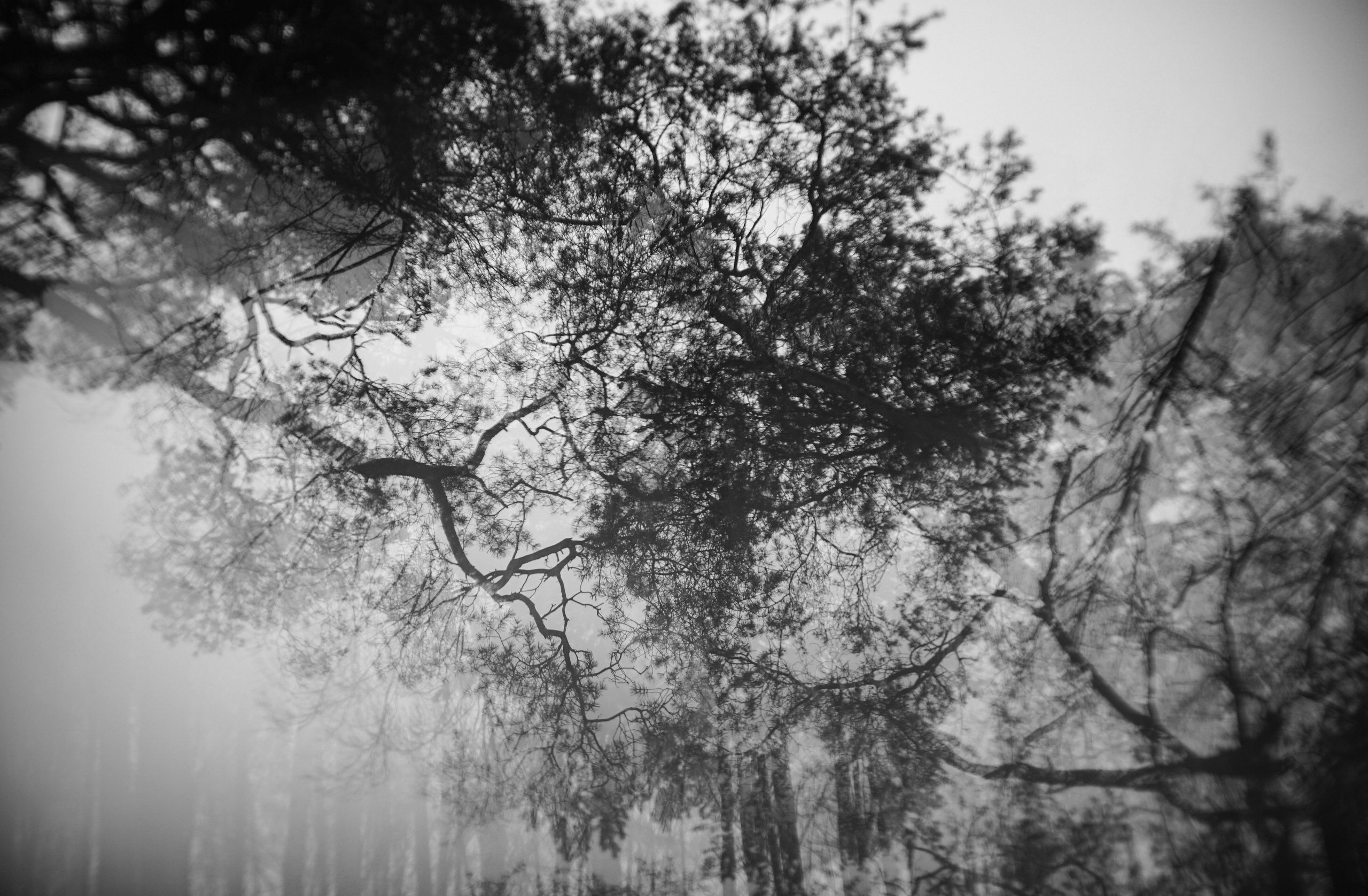 Пазлы. Фотохудожник Татьяна Бойцова