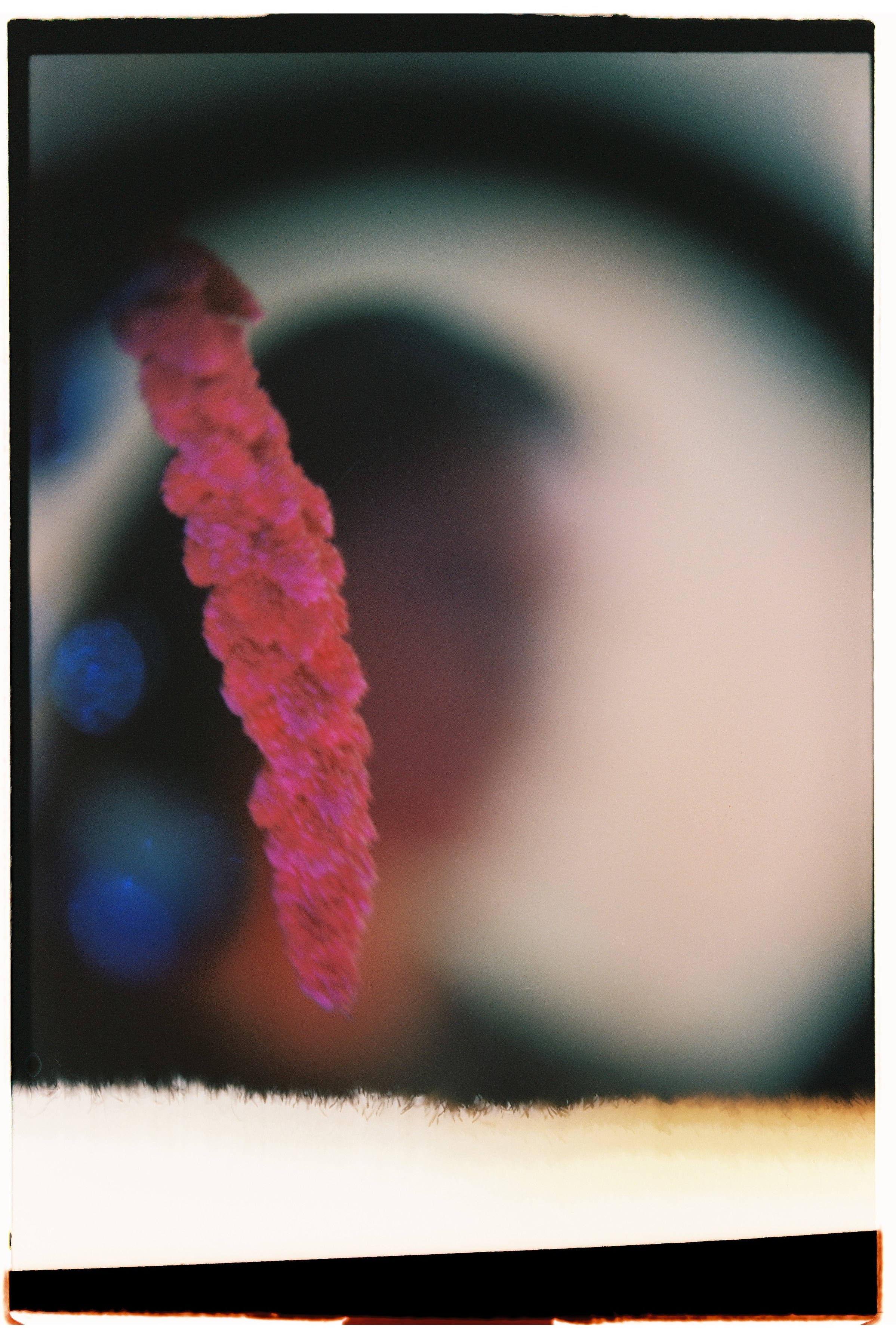 Film chronicle. Kosky ilya