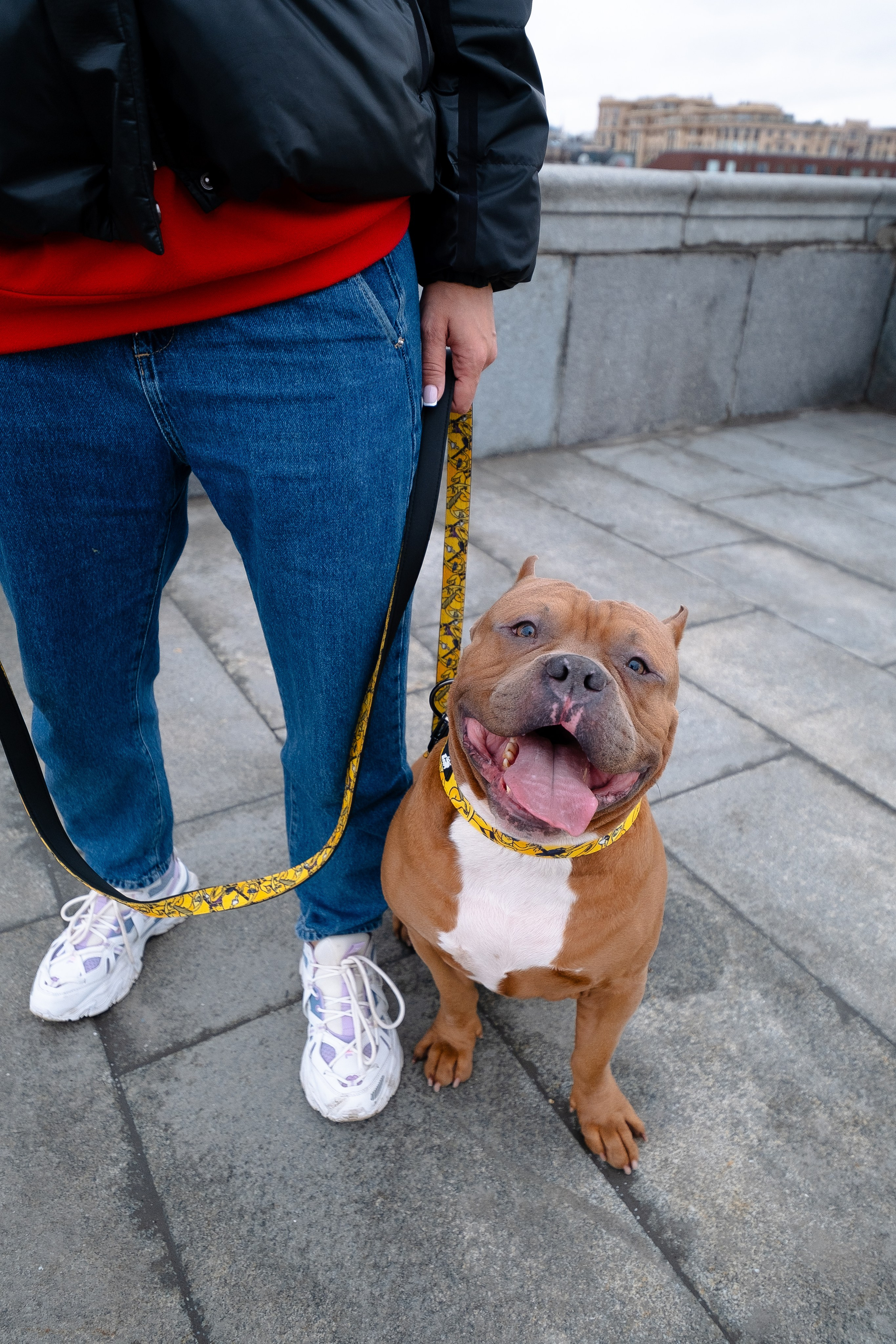 Спай и его семья. Фотограф и видеограф анималист Аганина Дарья