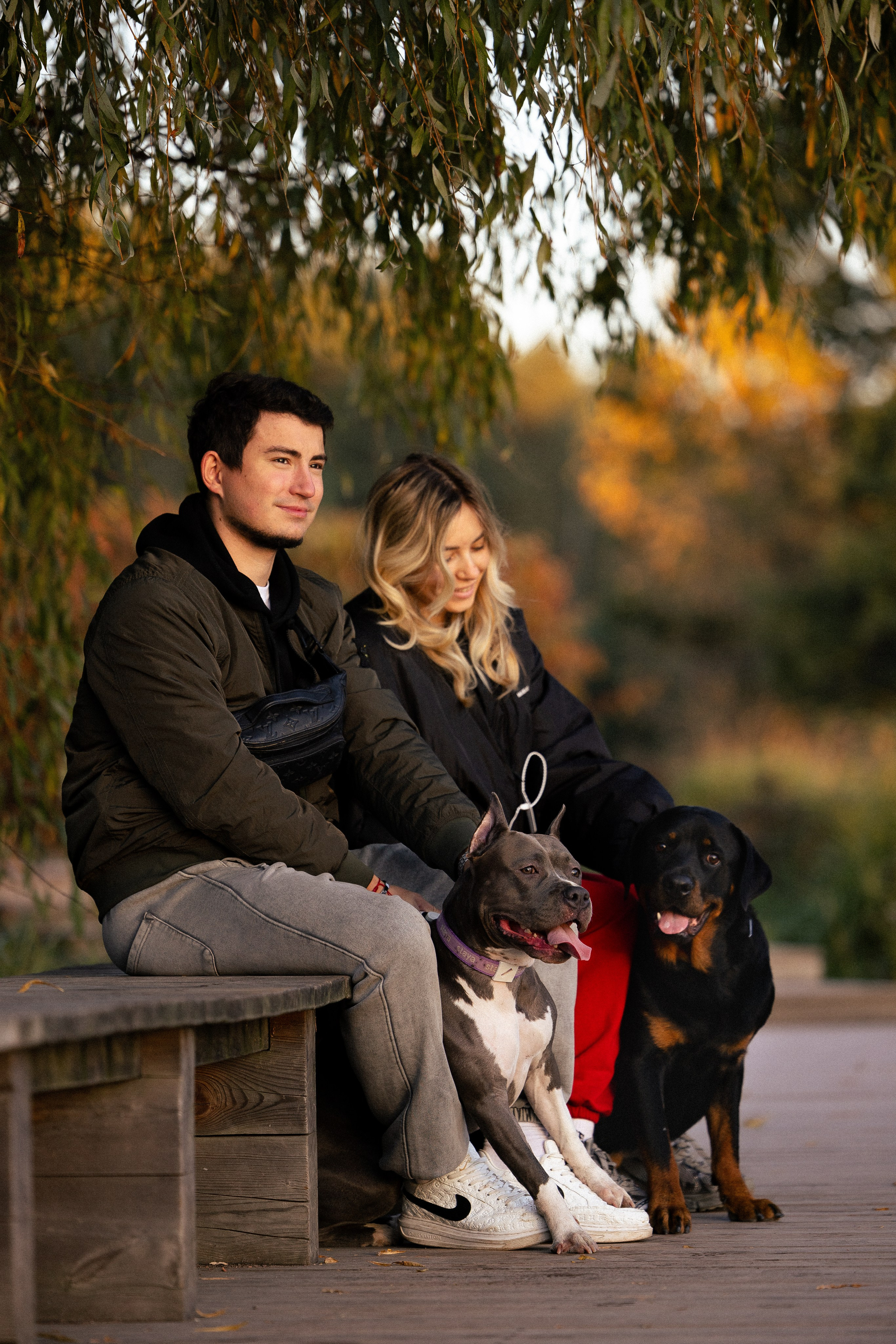 Катя, Леша, Лея и Трой. Фотограф и видеограф анималист Аганина Дарья