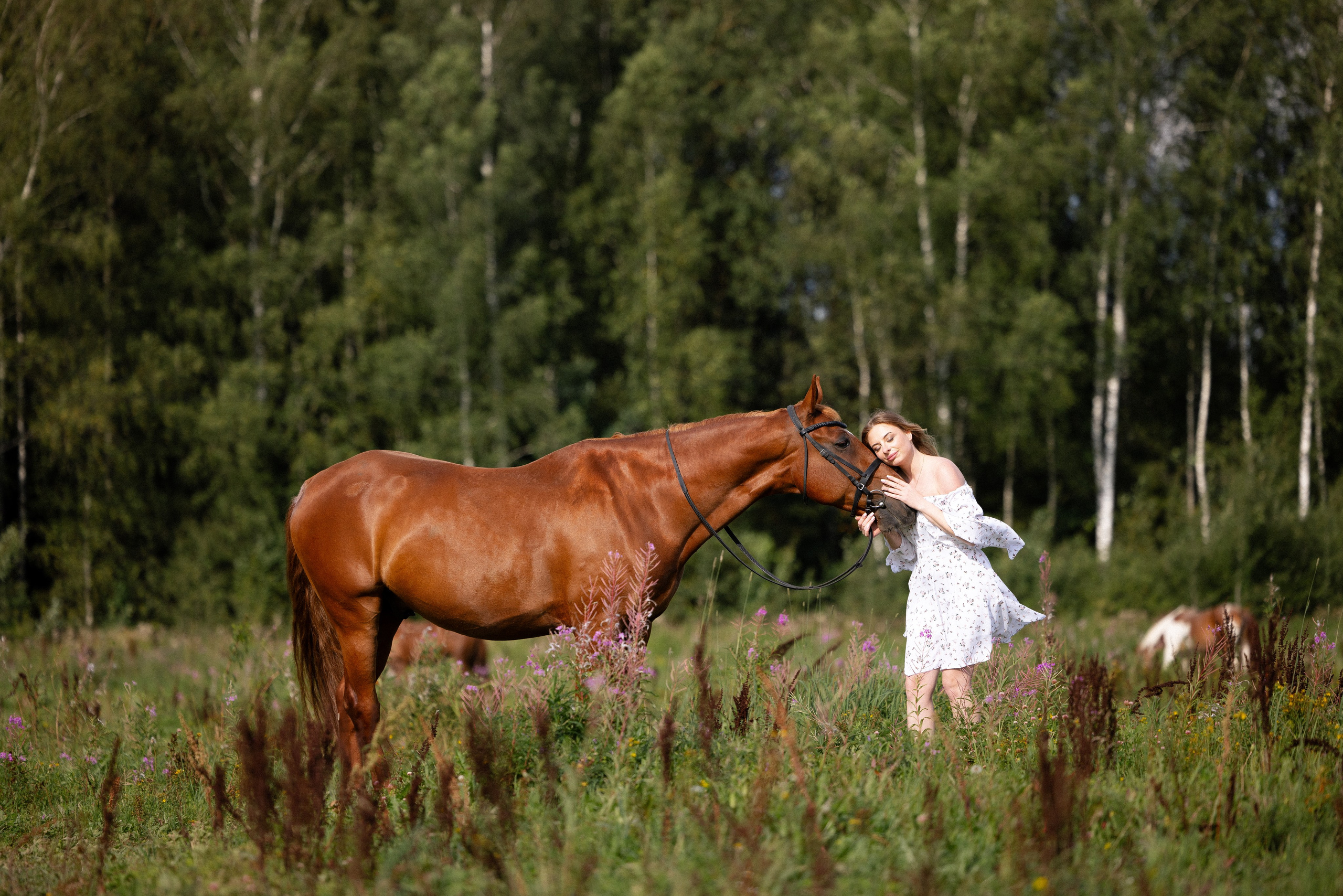Мария и Реванш. Фотограф и видеограф анималист Аганина Дарья