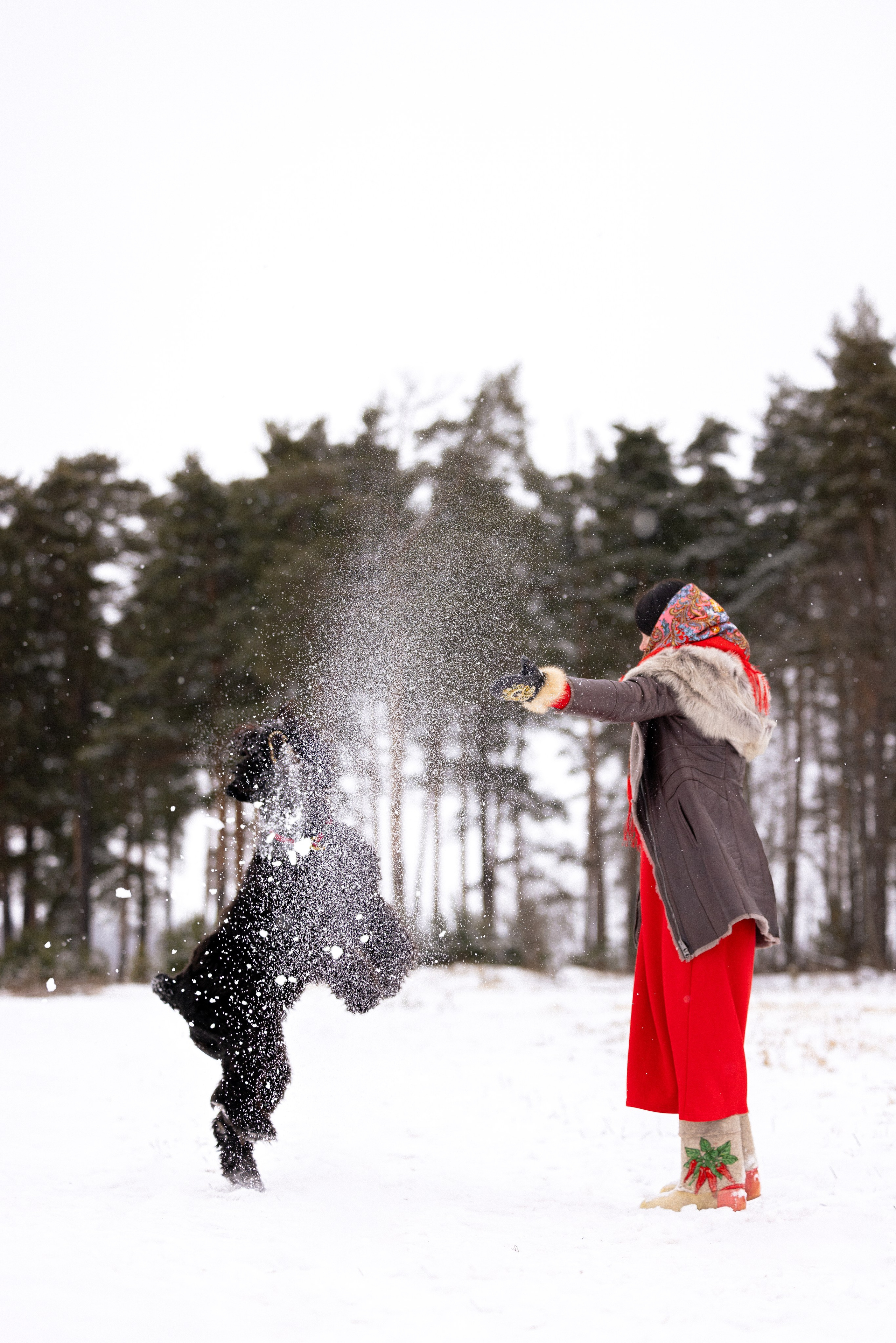 Анастасия и Ирга. Фотограф и видеограф анималист Аганина Дарья