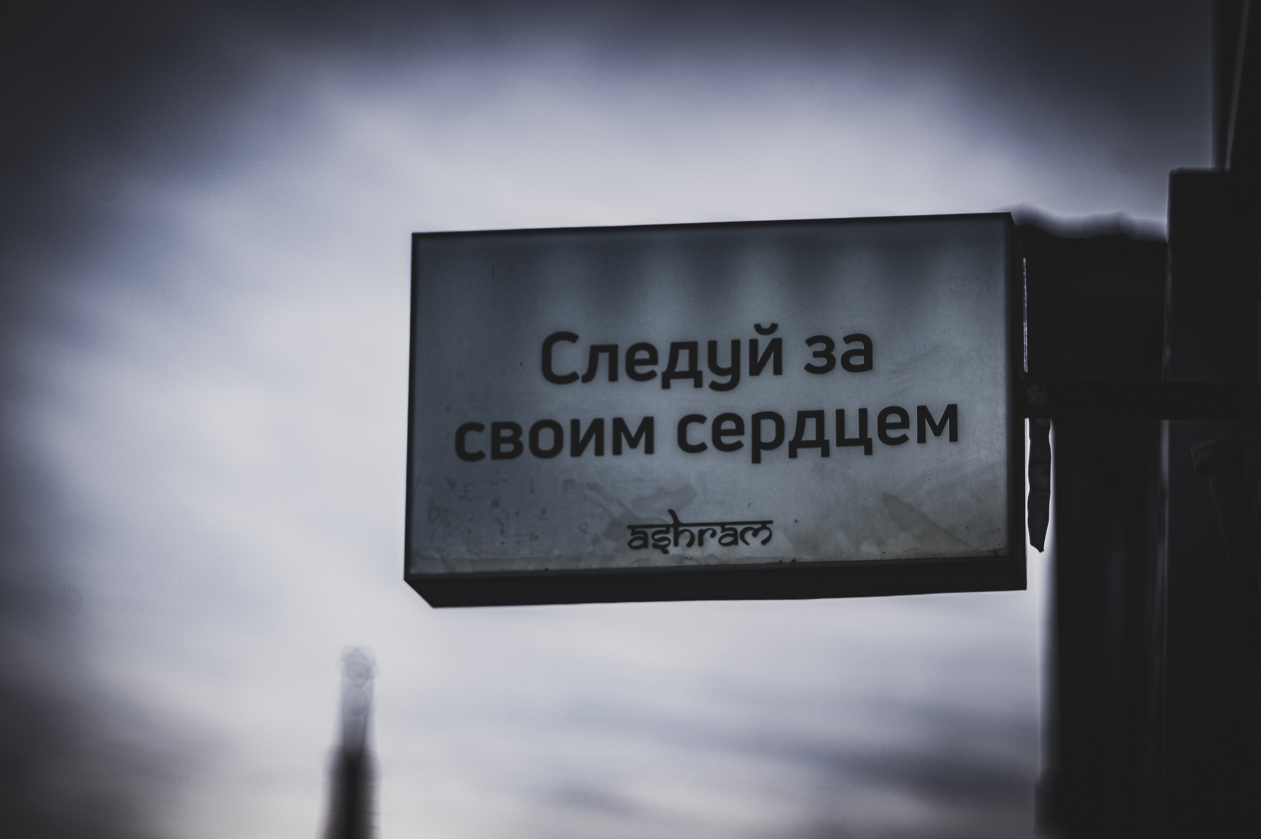 Фотопрогулка. Апрель 2023. Москва. Фотограф Роман Адлер