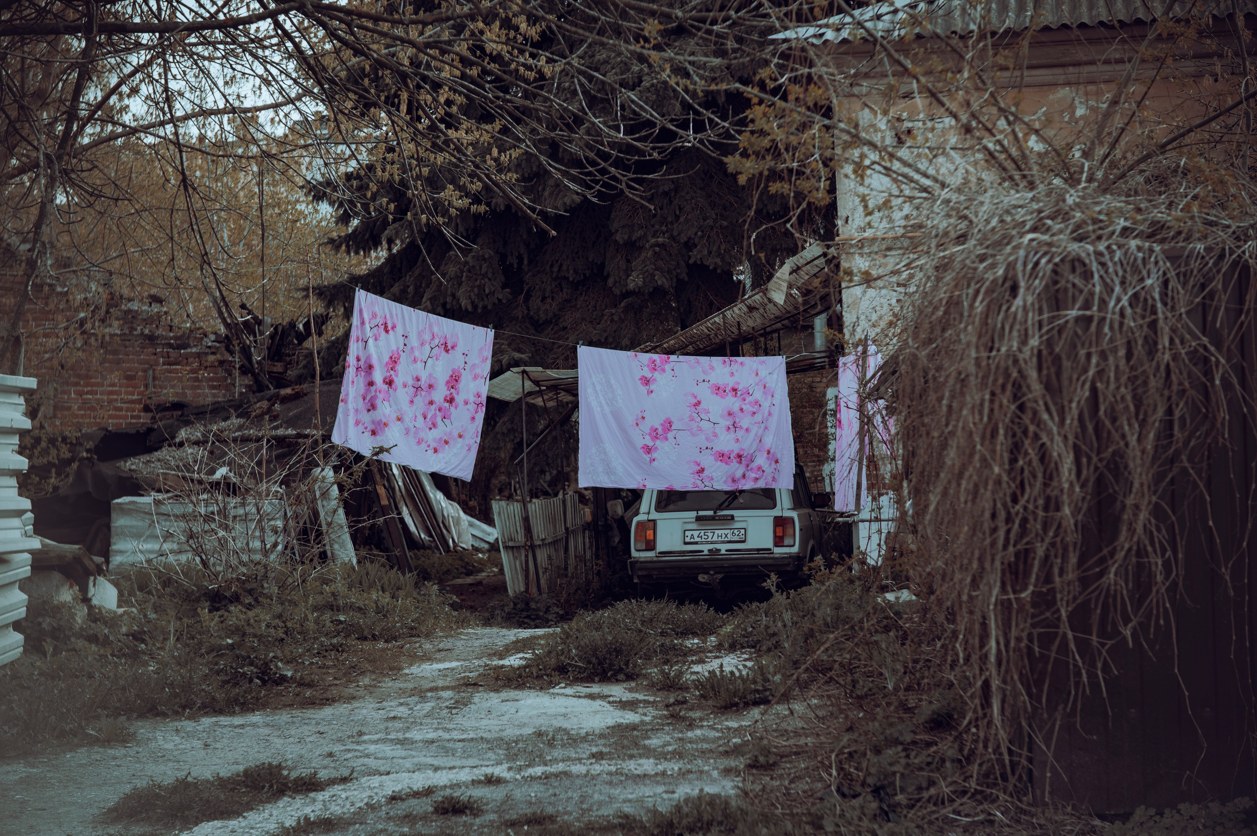 Рязань. Май 2022. Фотограф Роман Адлер