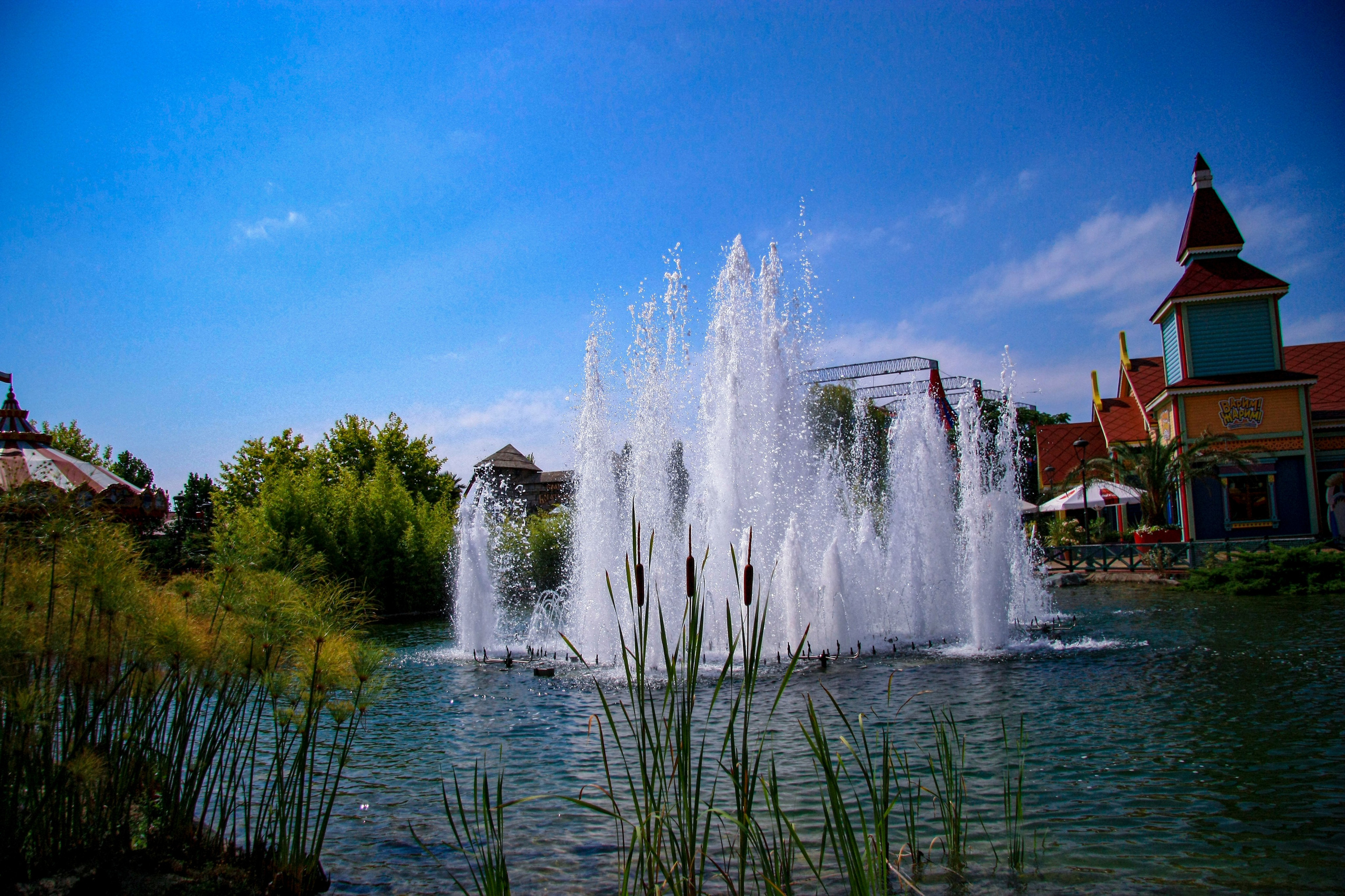 Первые кадры. Сочи — парк. Фотограф Роман Адлер