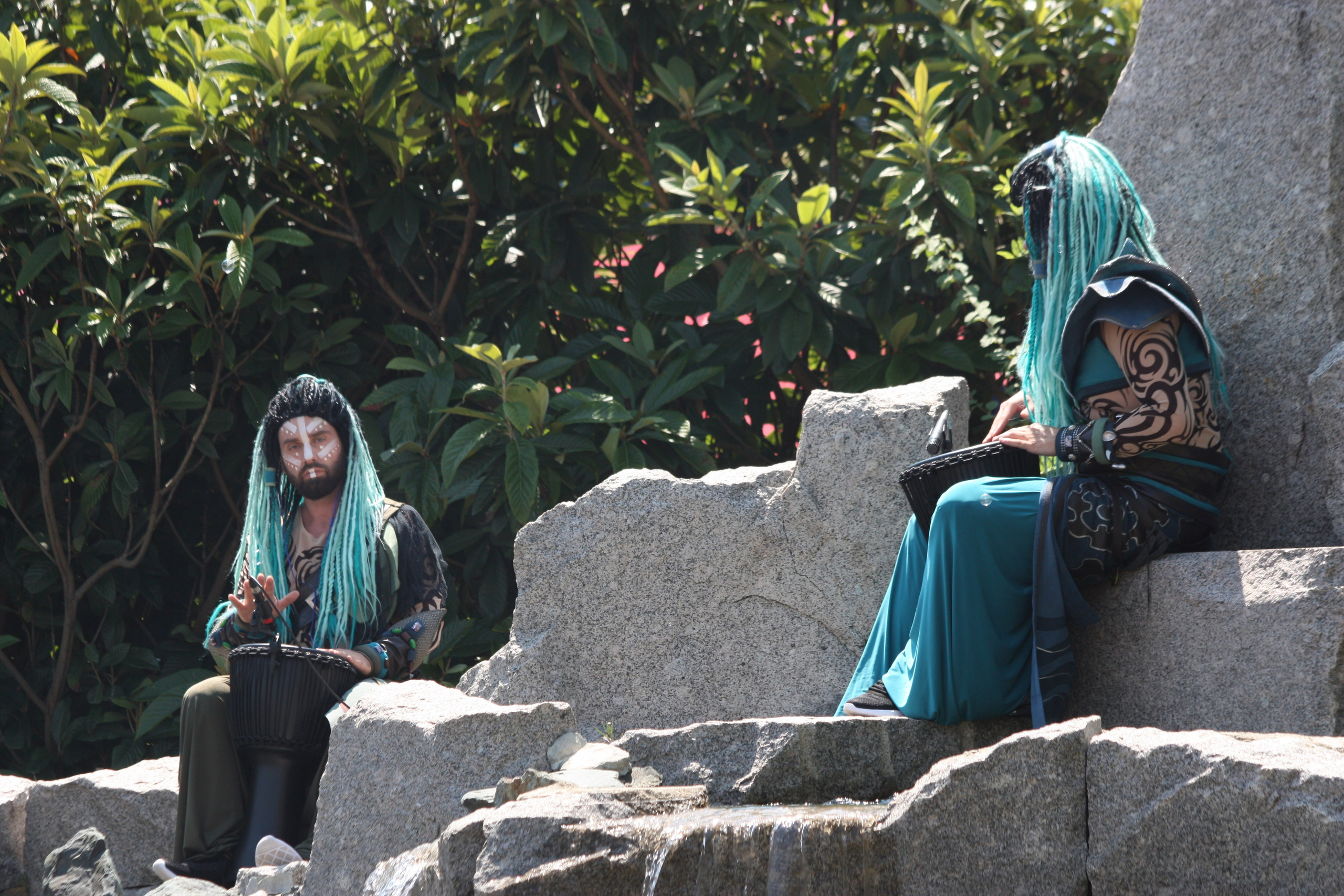 Первые кадры. Сочи — парк. Фотограф Роман Адлер