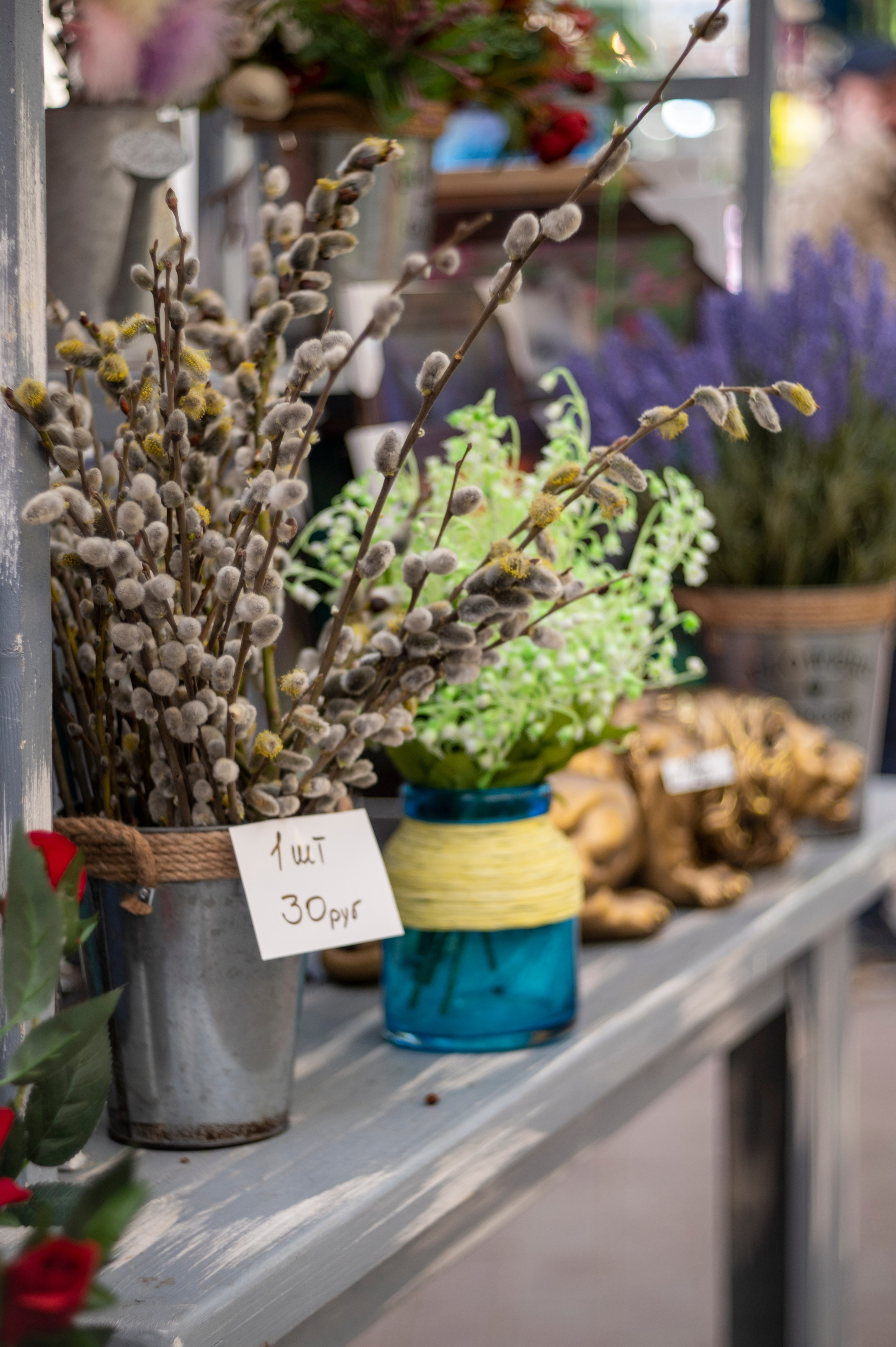 Фотопрогулка апрель 2022. Фотограф Роман Адлер