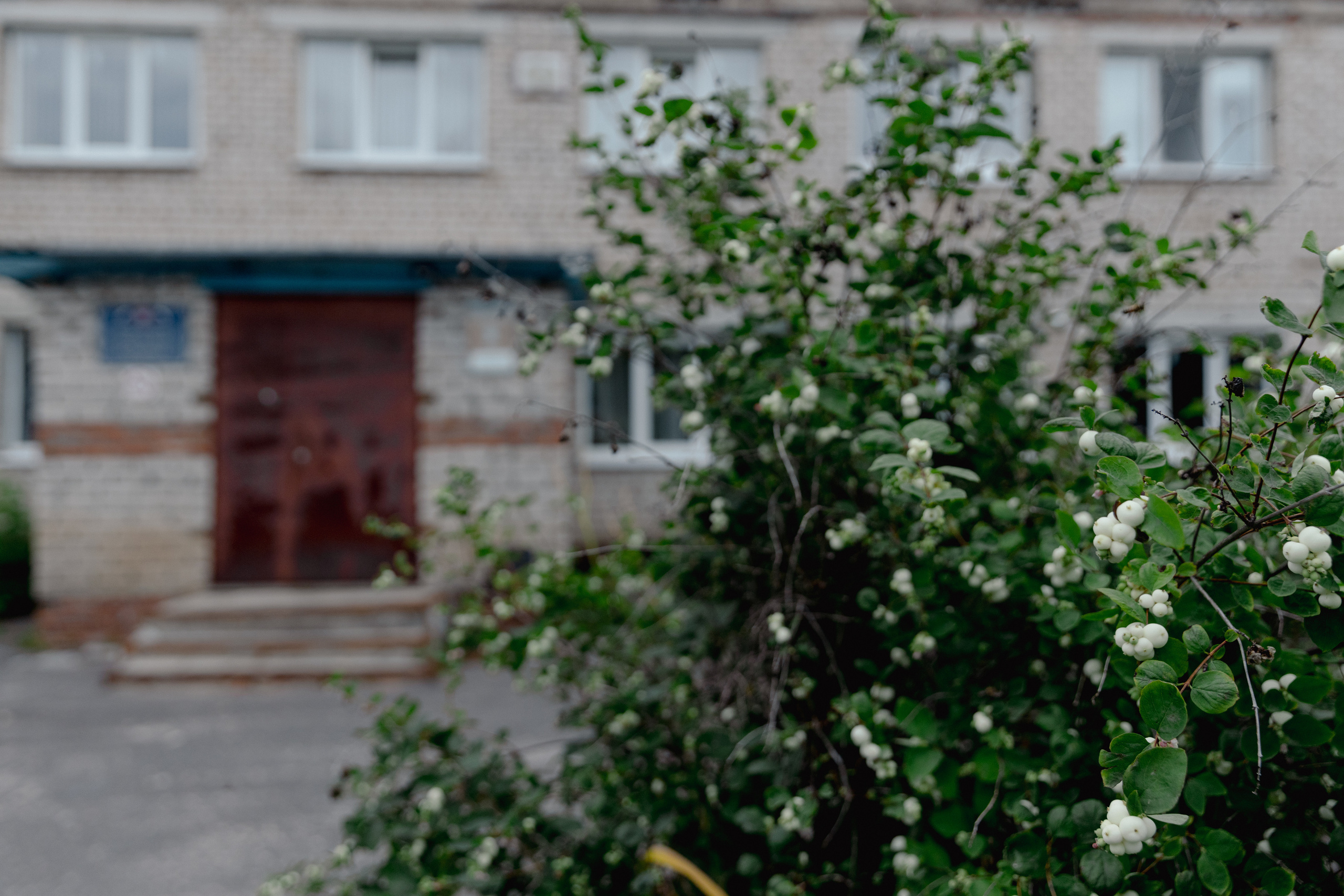 Сельский доктор. Фотограф Виталий Верескун. Козельск-Калуга