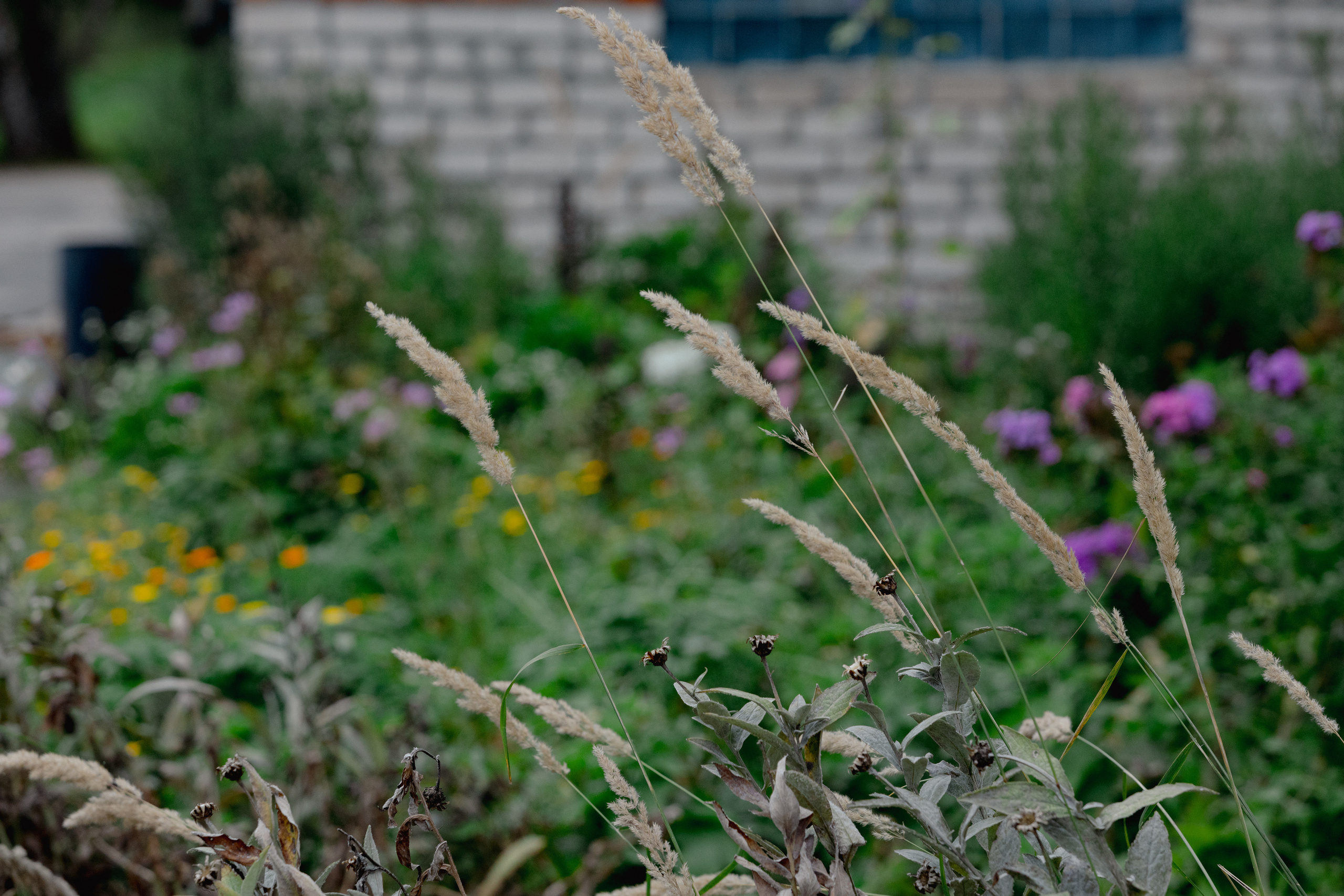 Сельский доктор. Фотограф Виталий Верескун. Козельск-Калуга