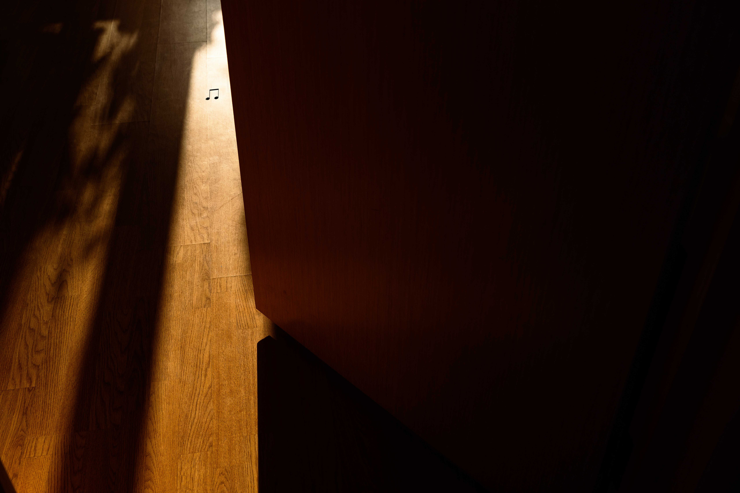 Деревенский пианист. Фотограф Виталий Верескун. Козельск-Калуга