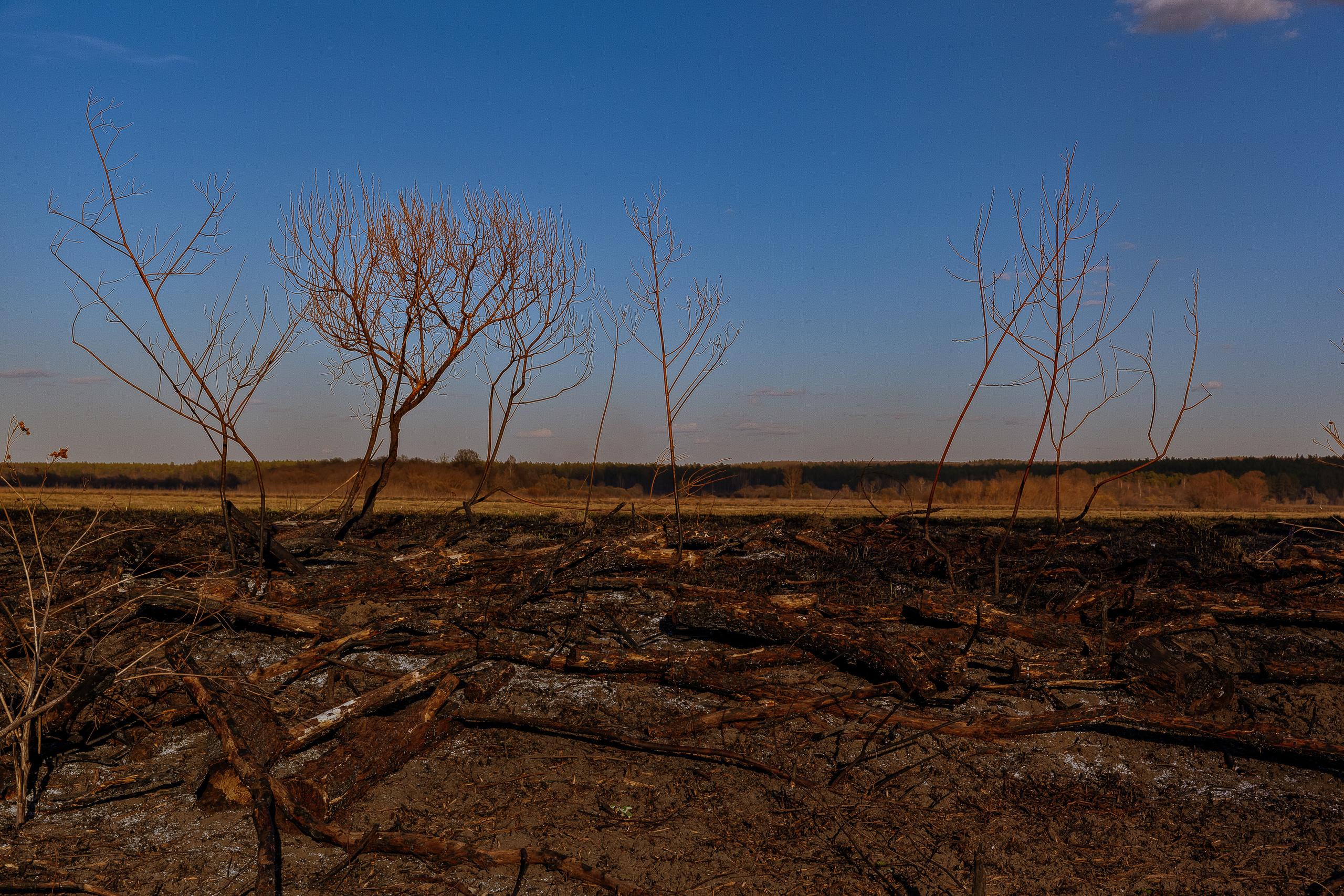 Джога. Фотограф Виталий Верескун. Козельск-Калуга