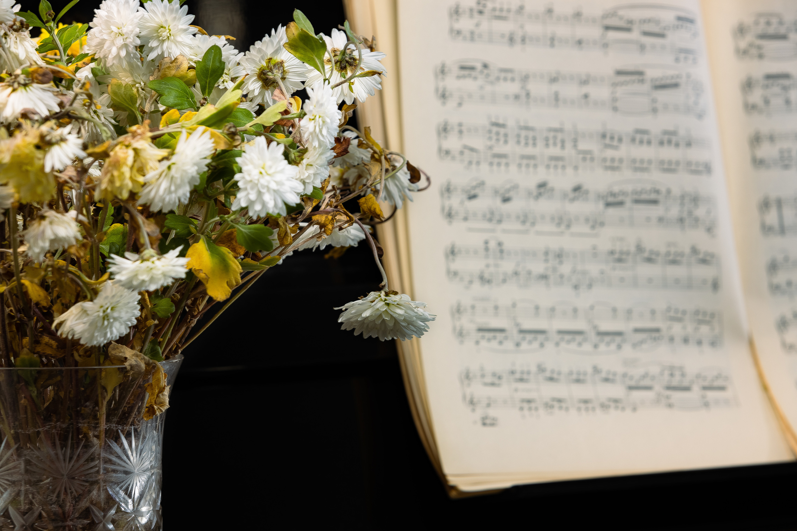 Деревенский пианист. Фотограф Виталий Верескун. Козельск-Калуга