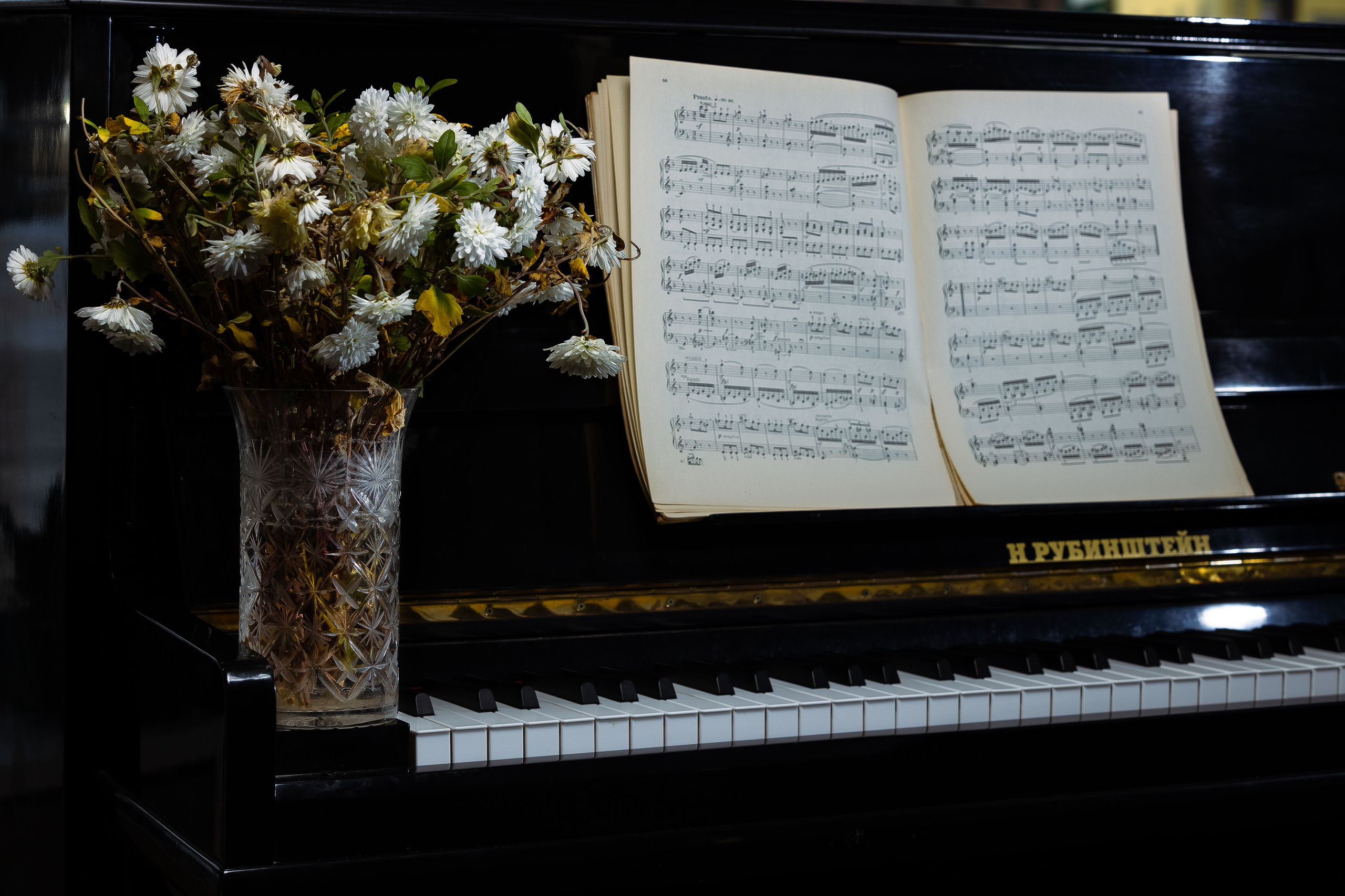 Деревенский пианист. Фотограф Виталий Верескун. Козельск-Калуга