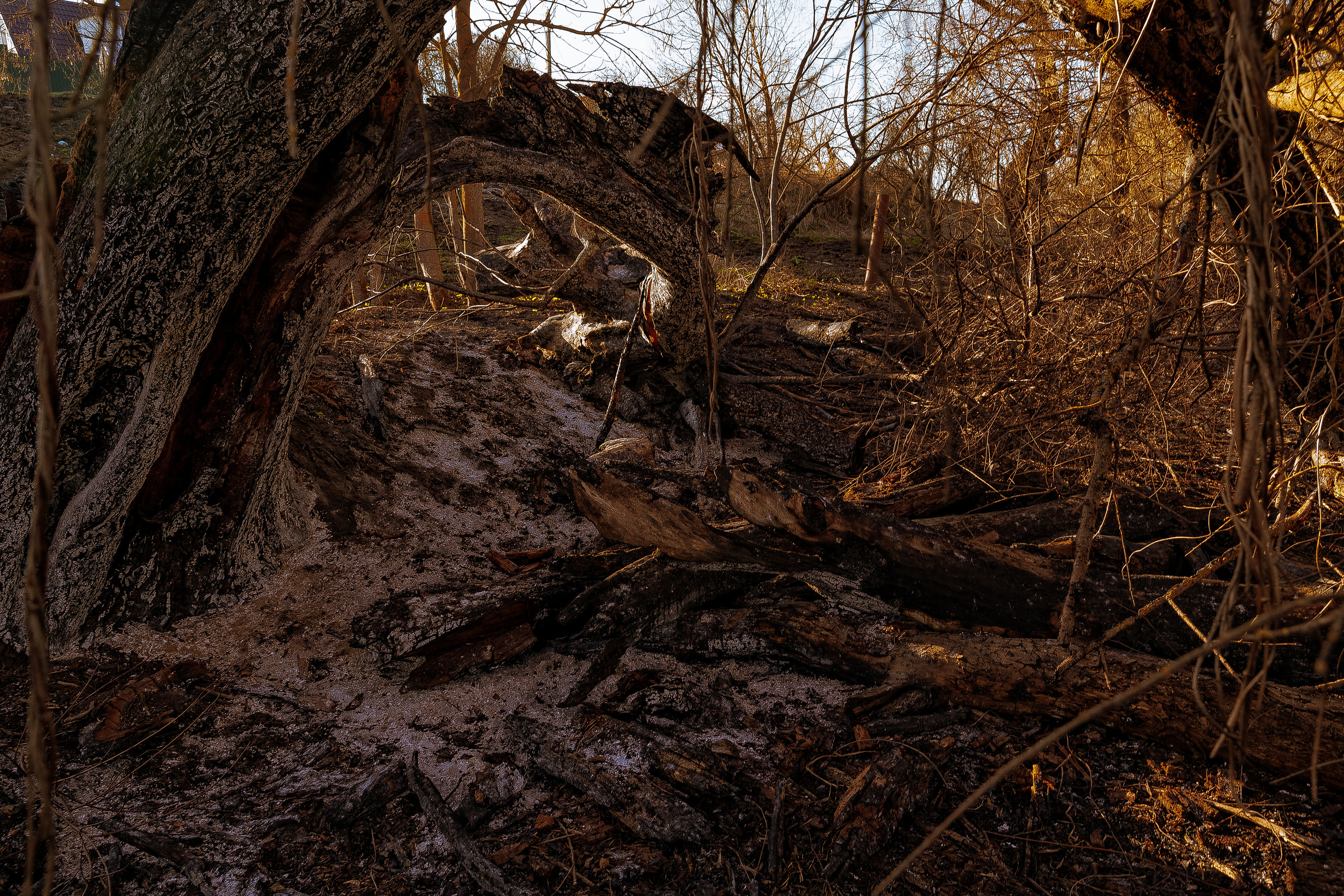 Джога. Фотограф Виталий Верескун. Козельск-Калуга