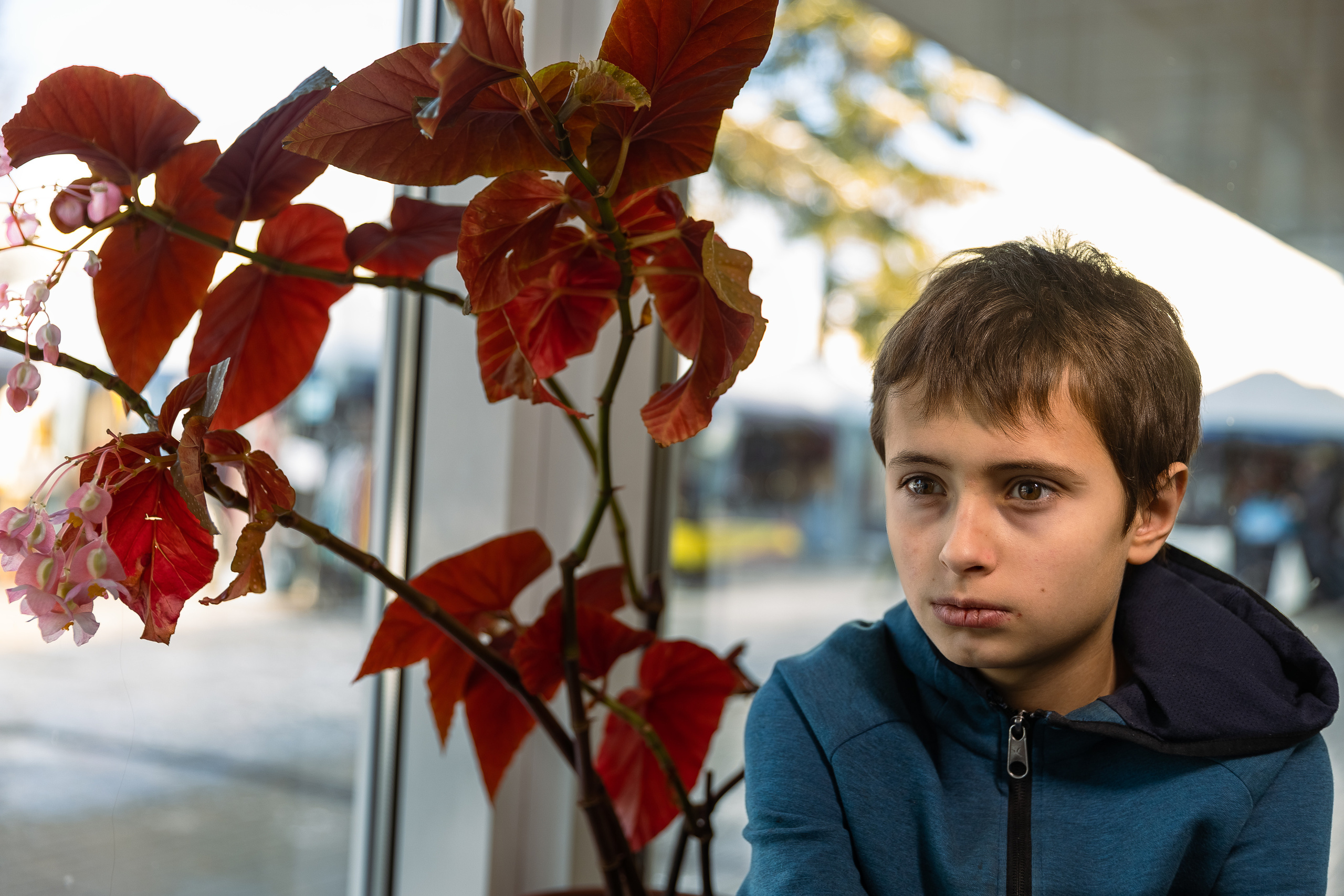 Деревенский пианист. Фотограф Виталий Верескун. Козельск-Калуга