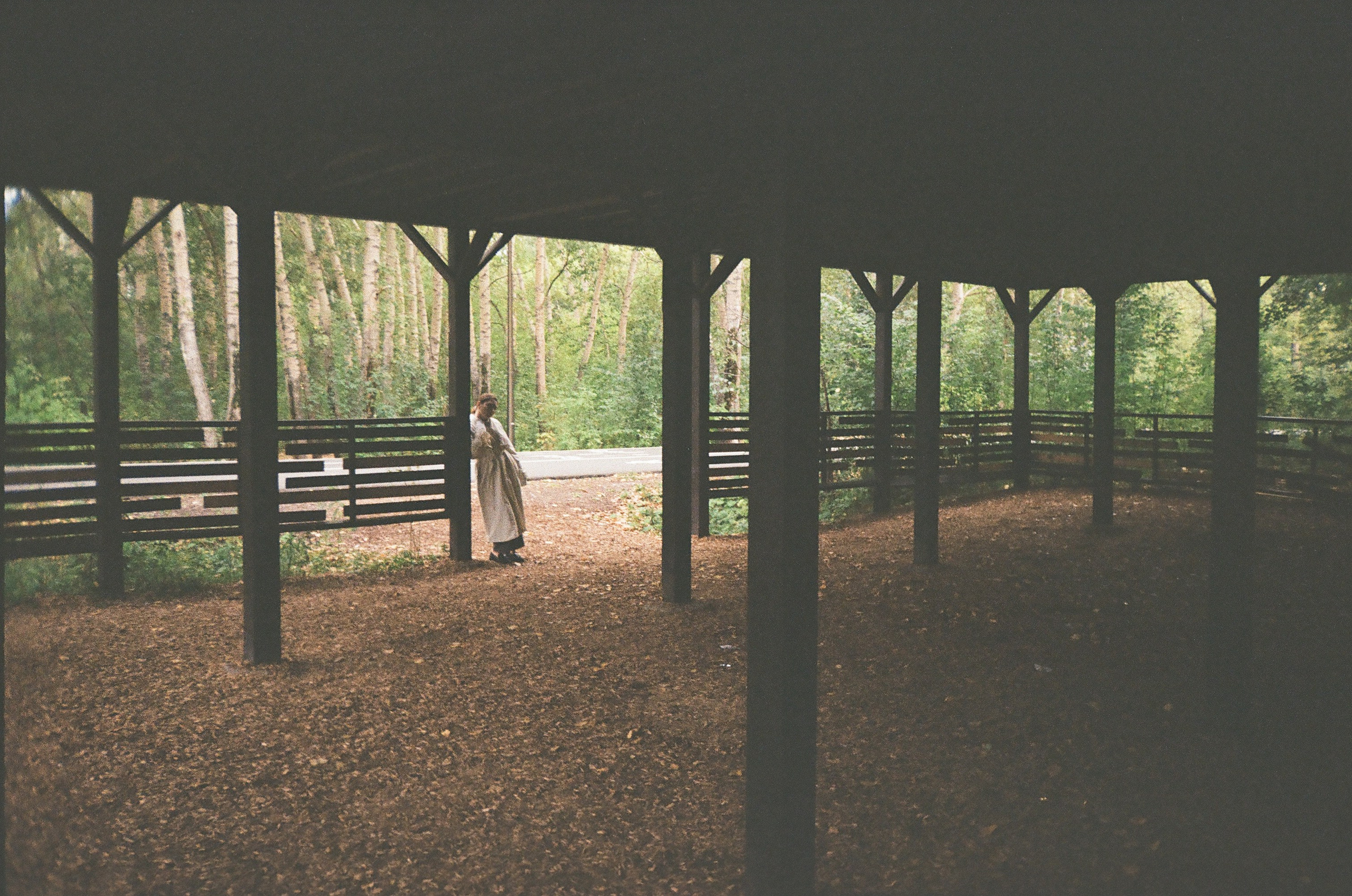 Влюбленные в жизнь