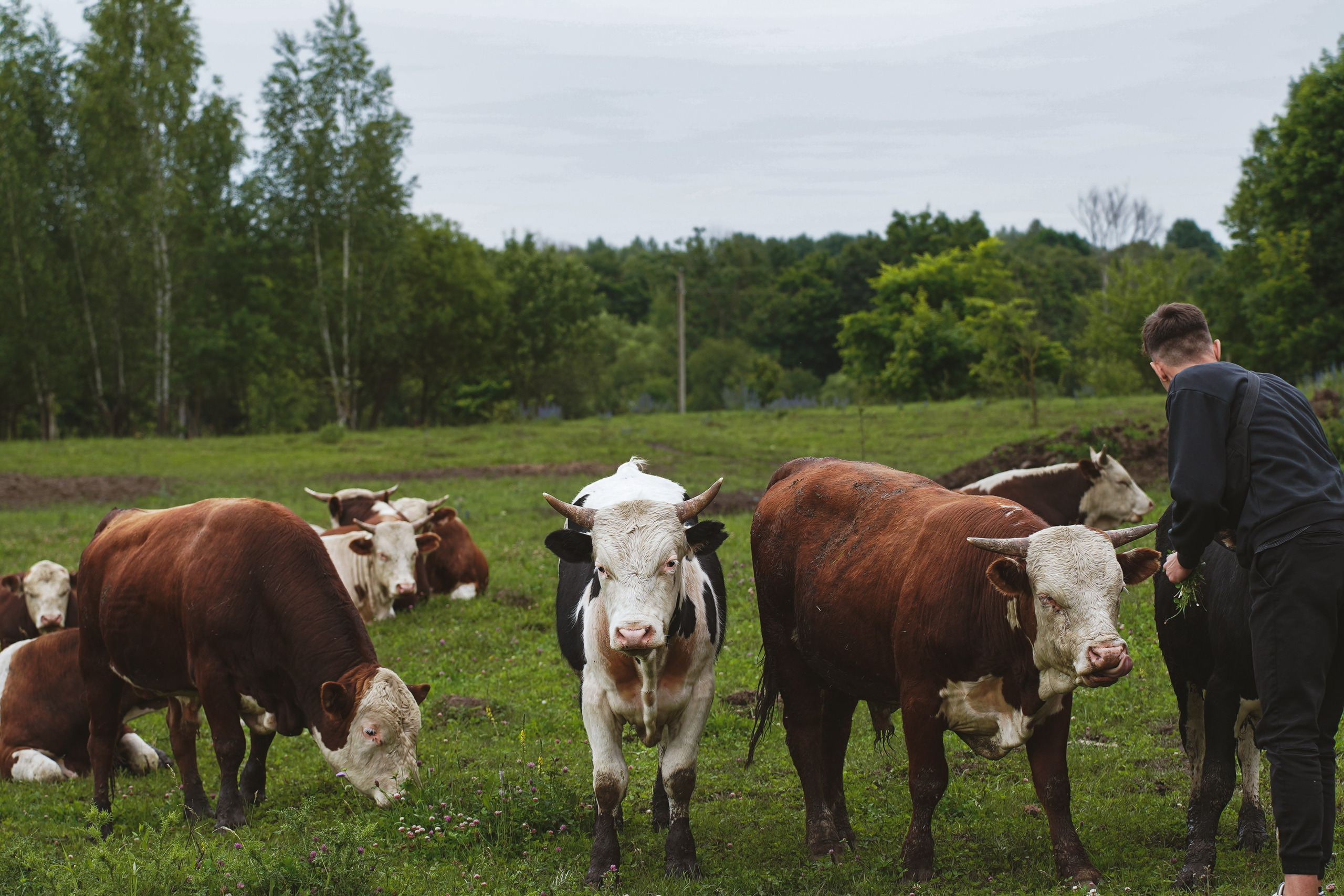 MOTHER EARTH. Фотограф и визуальный художник в Туле / Николай Рейзвих