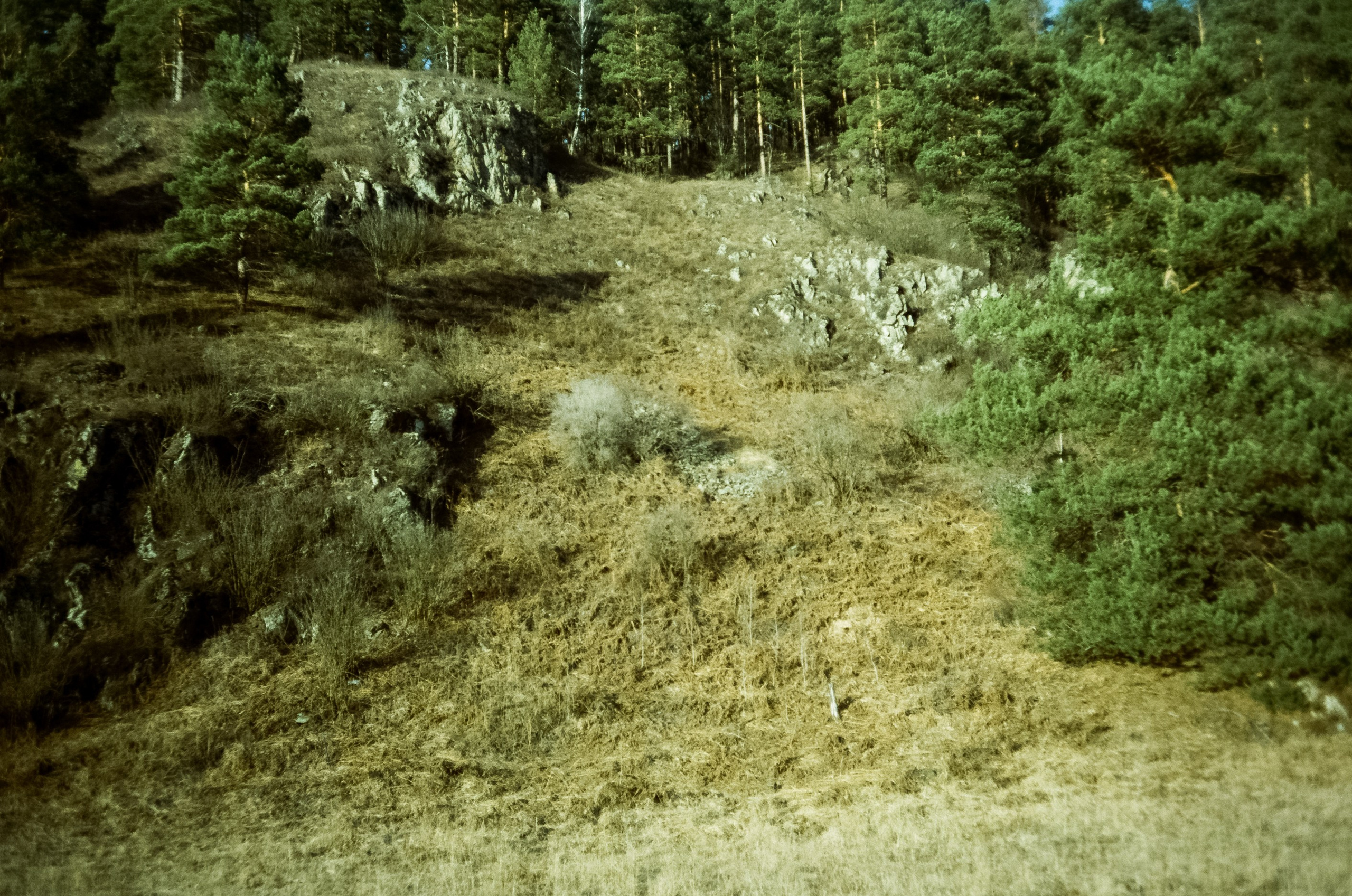 Горно-лыжный курорт Манжерок / 22 декабря 2023 года (0℃)